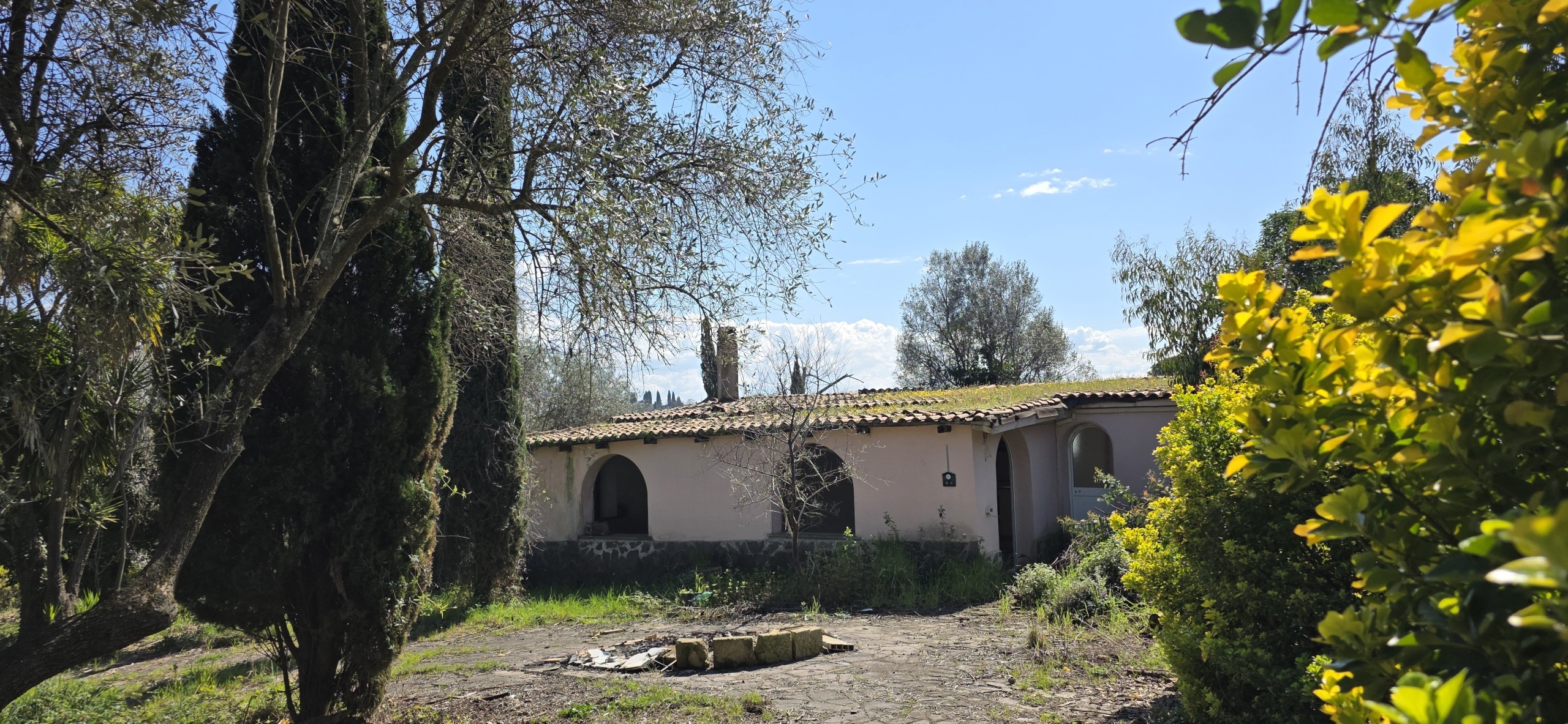 Foto annuncio 5