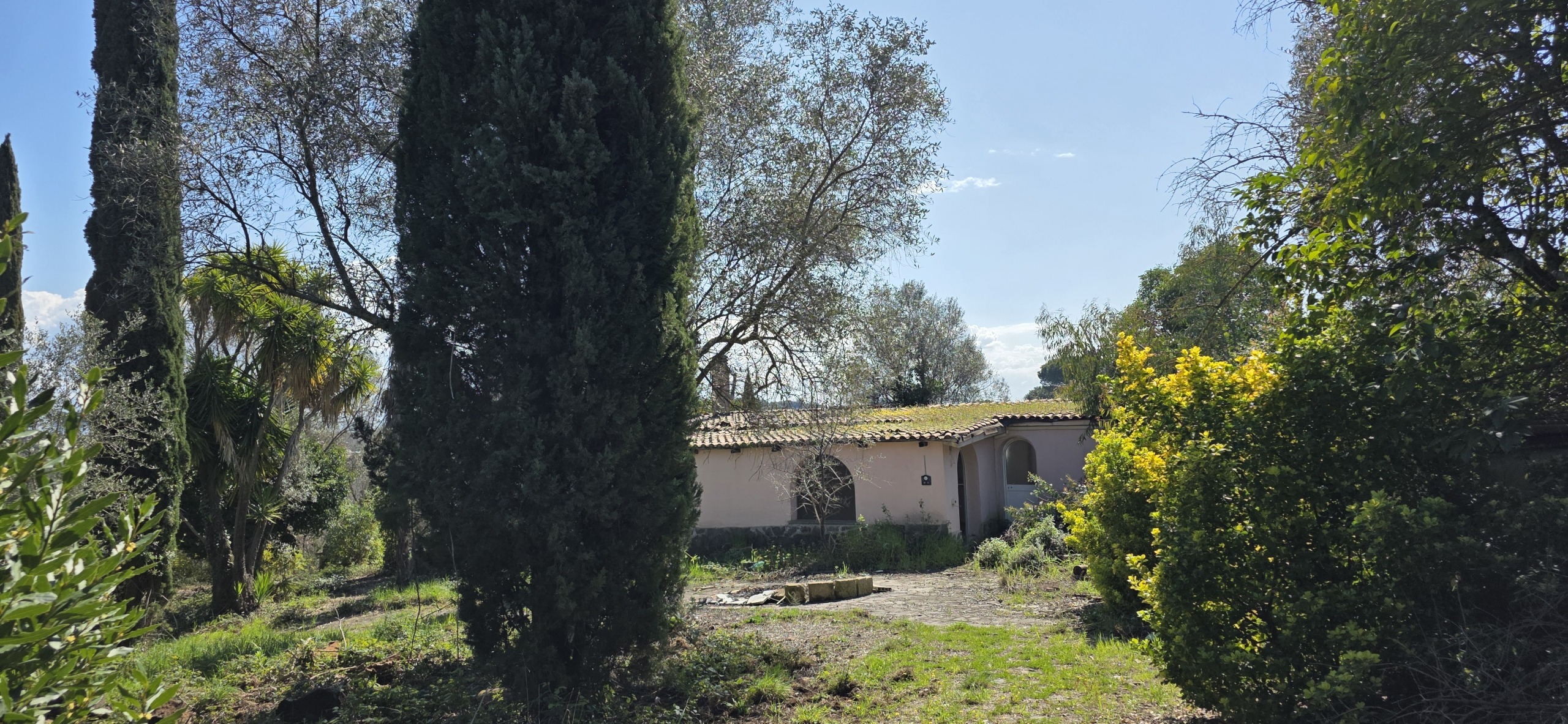 Foto annuncio 4