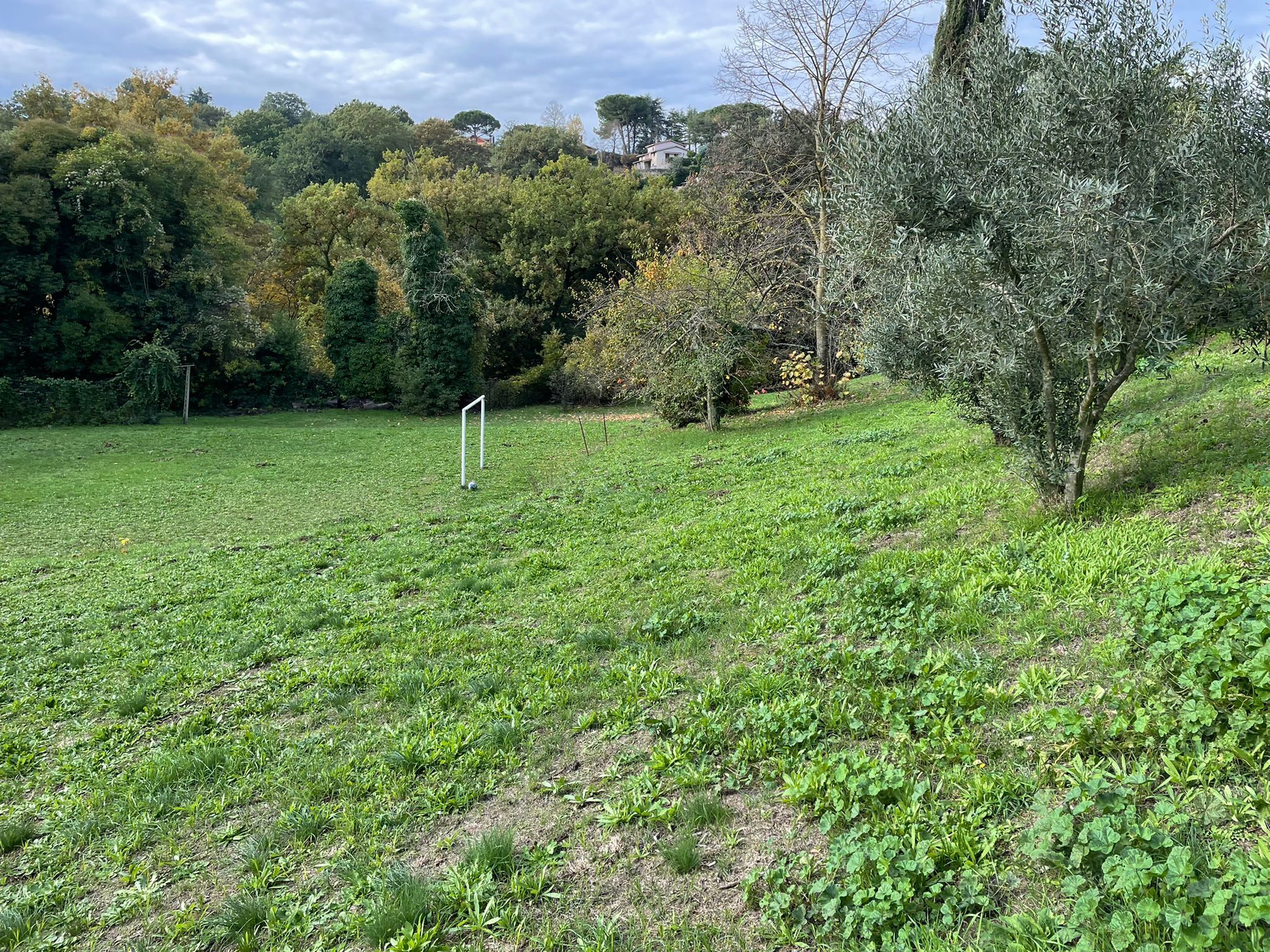 Foto annuncio 2
