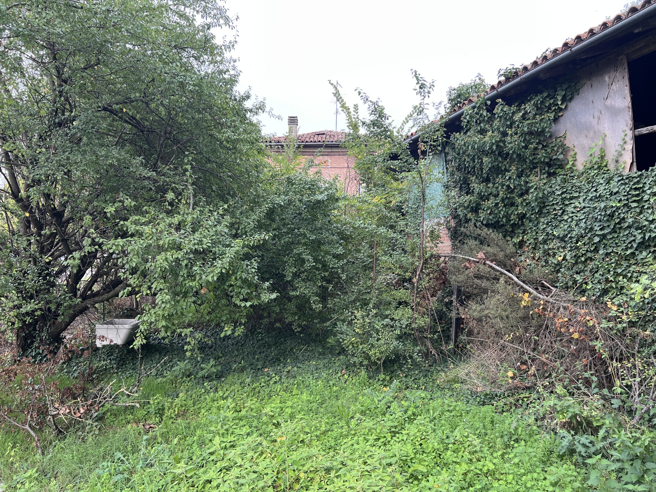 Foto annuncio 10