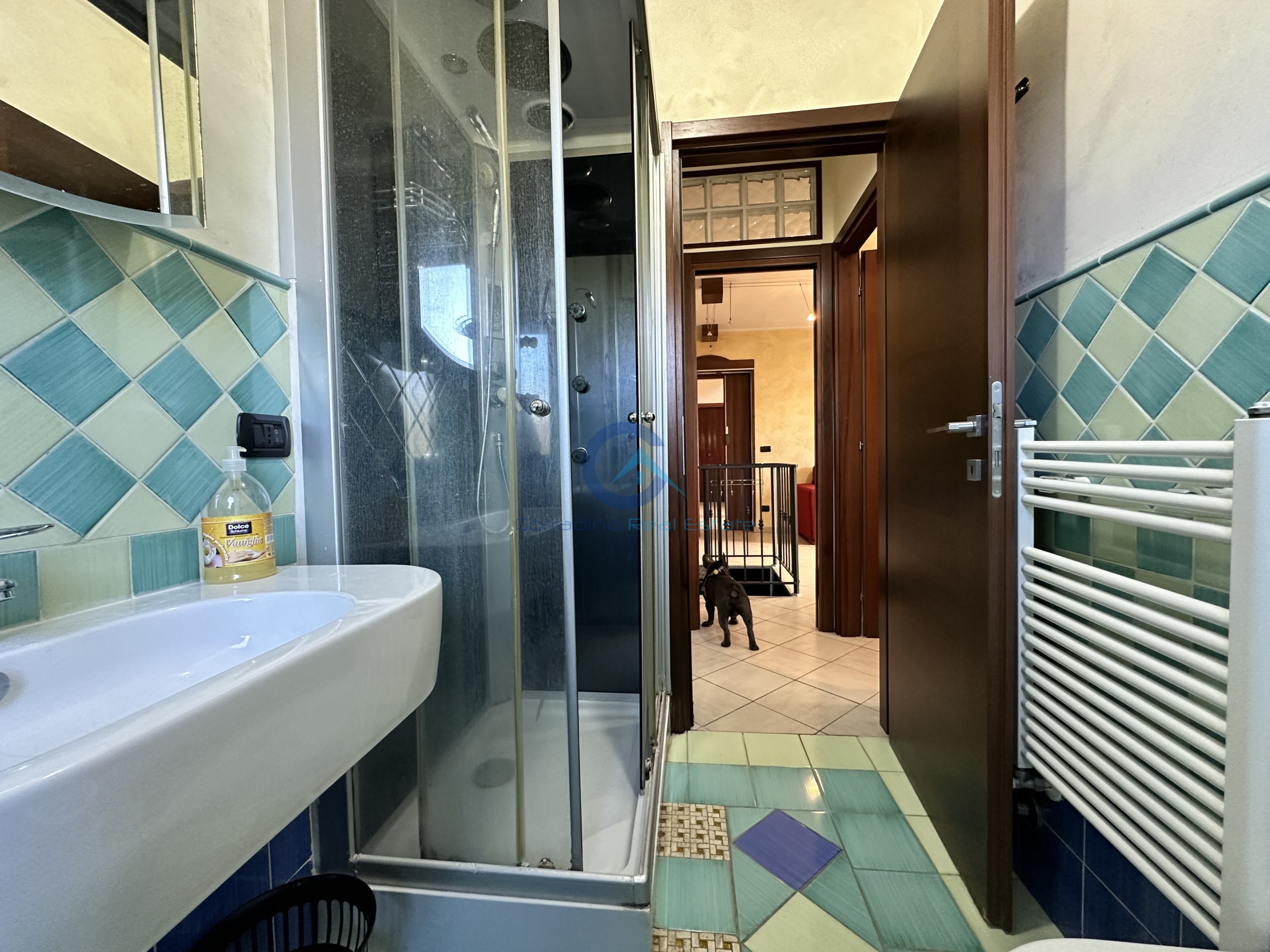 Immagine 9 di Trilocale in affitto  a Catanzaro