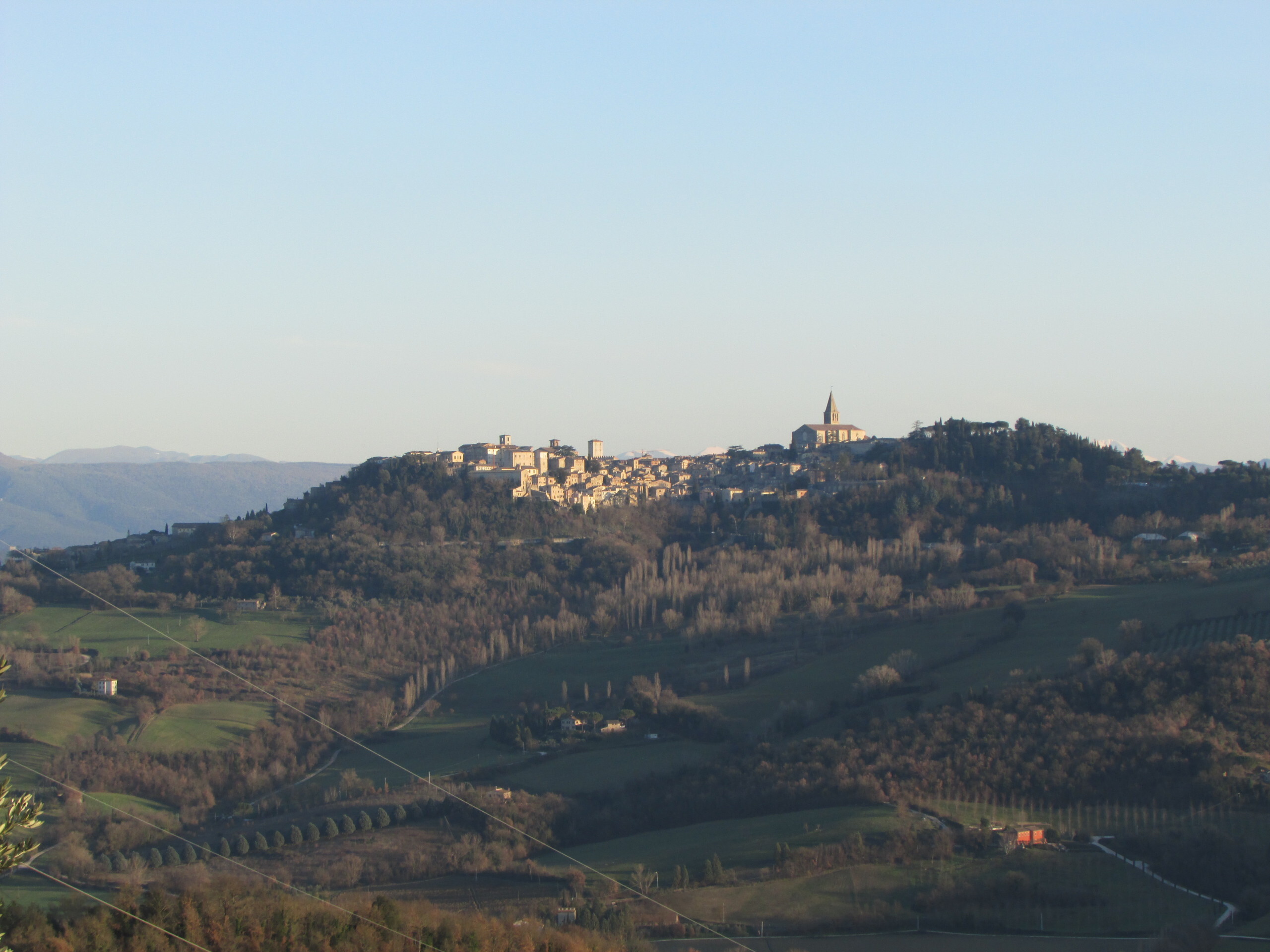 Foto annuncio 9