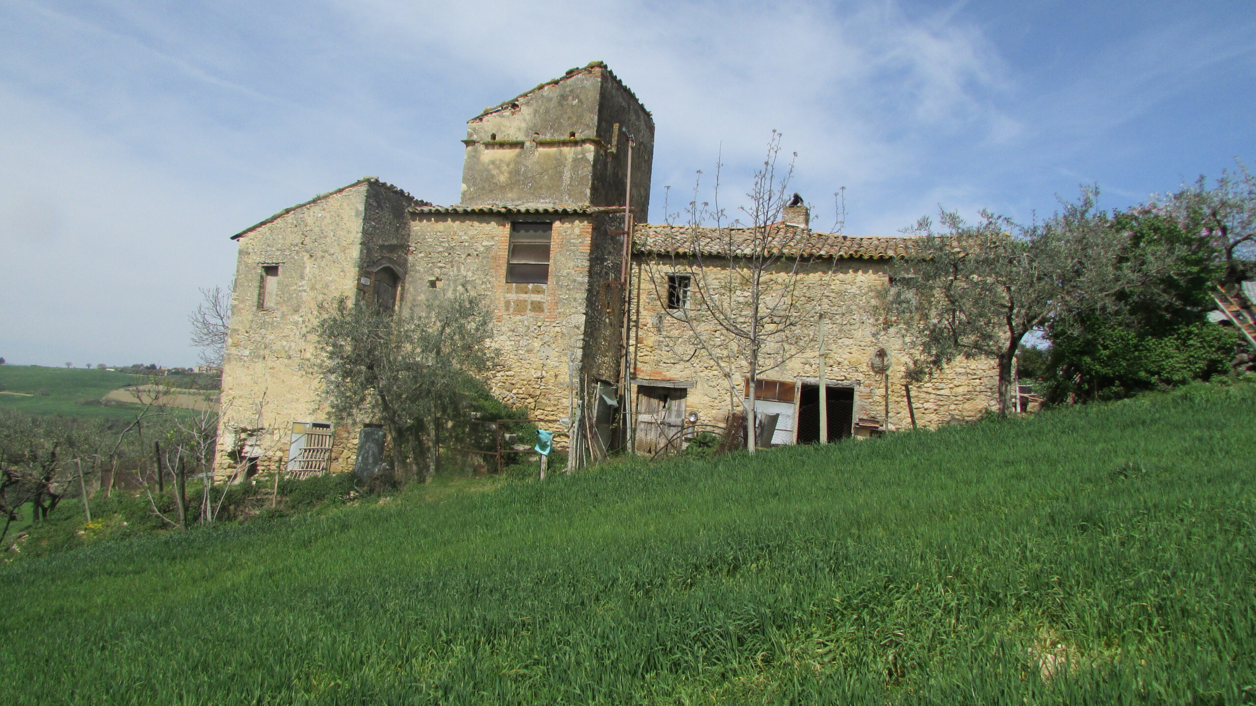 Foto annuncio 5