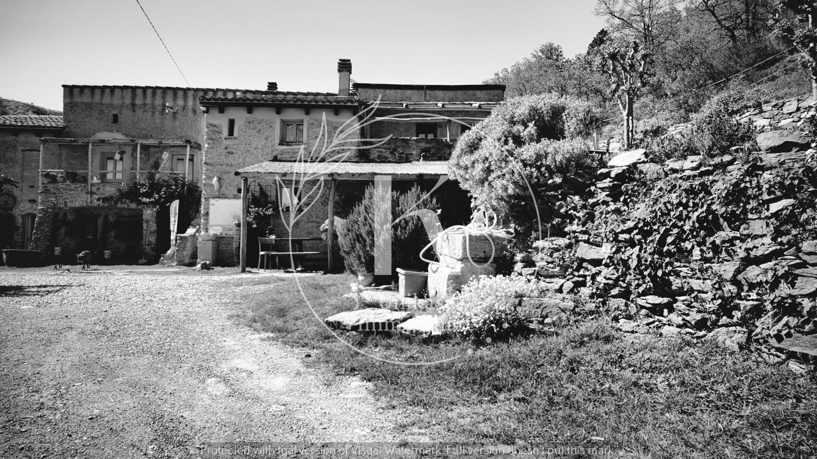Foto annuncio 28