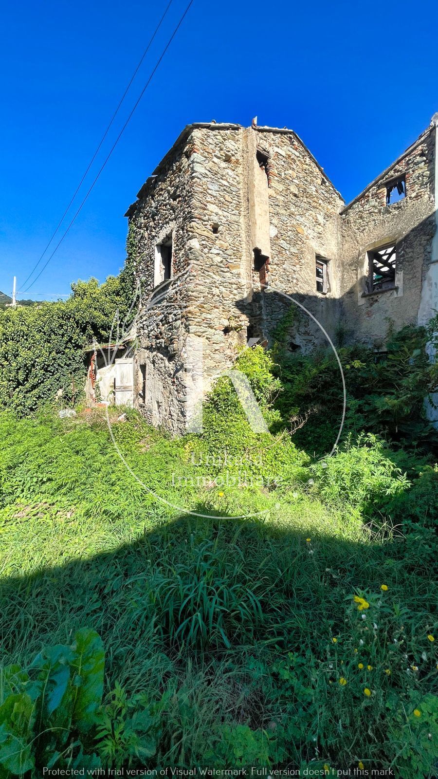 Foto annuncio 20