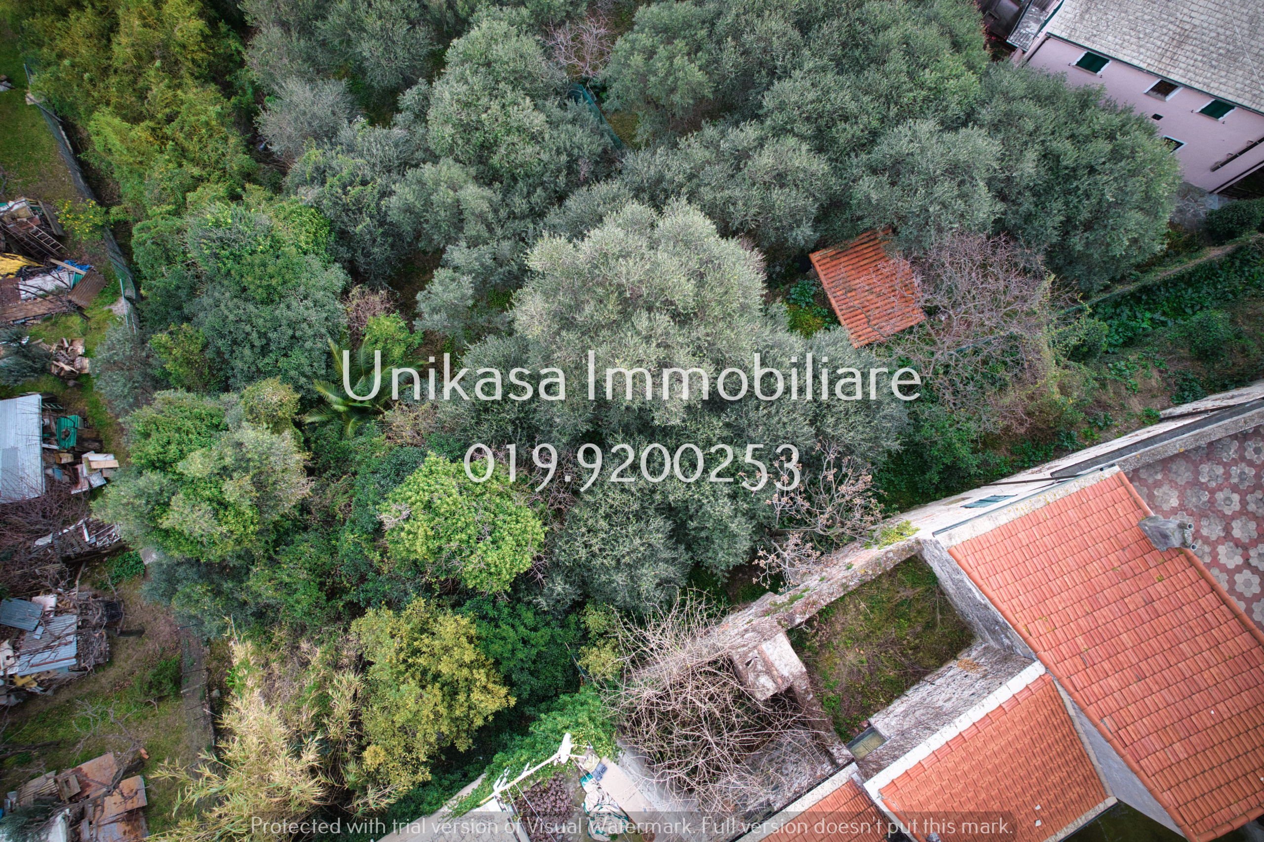 Foto annuncio 8