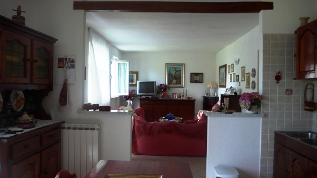 Foto annuncio 12