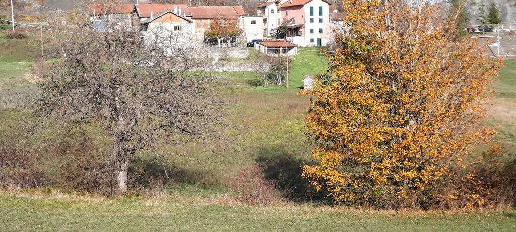 Foto annuncio 25