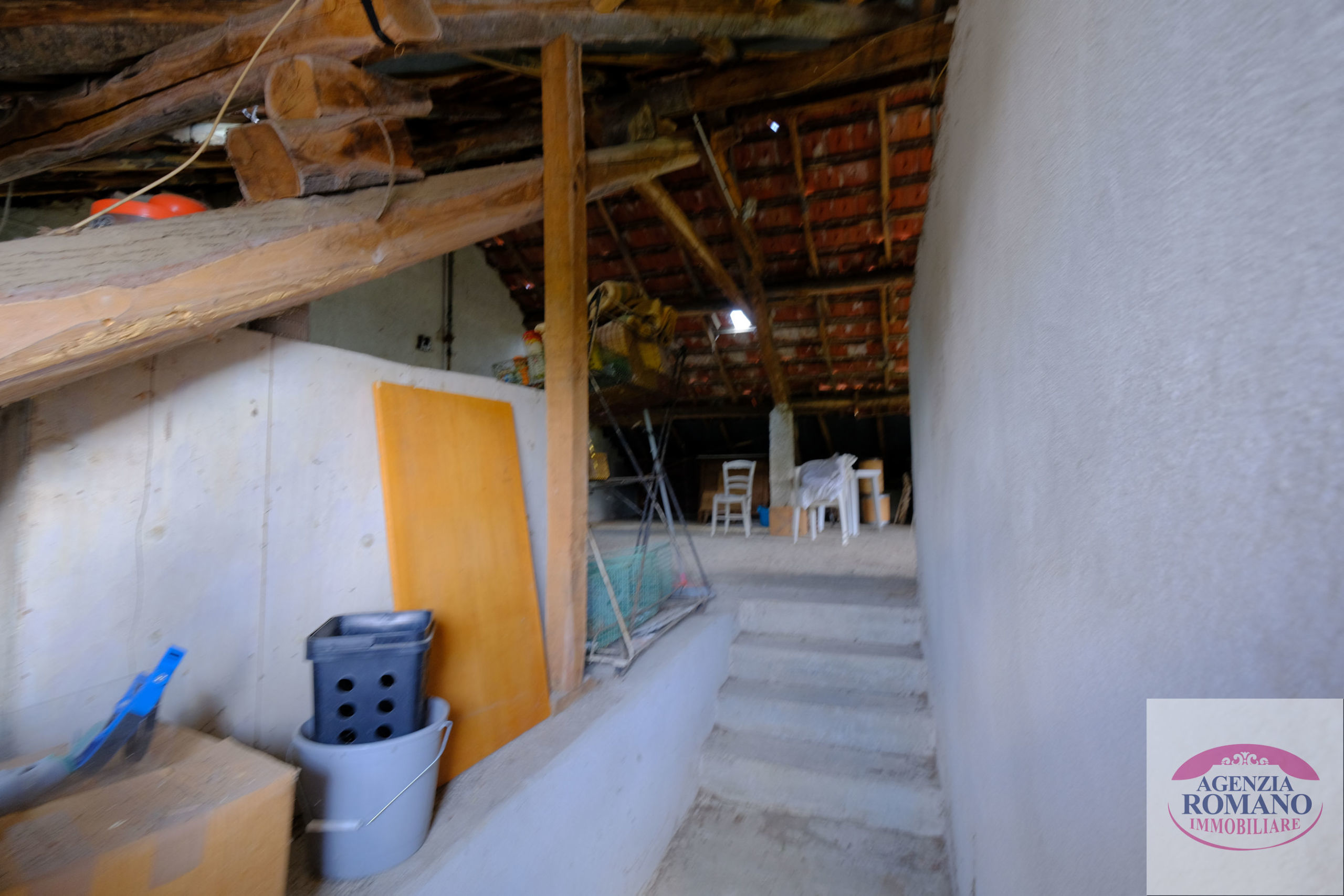 Foto annuncio 31