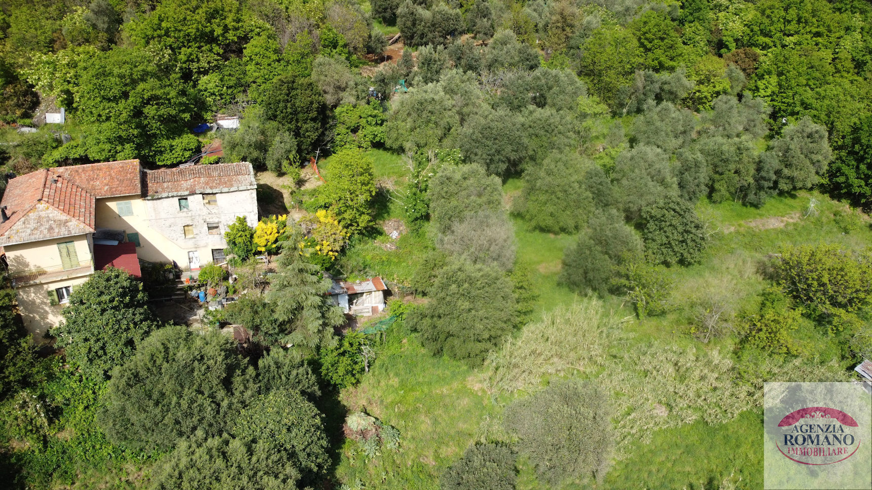Foto annuncio 10