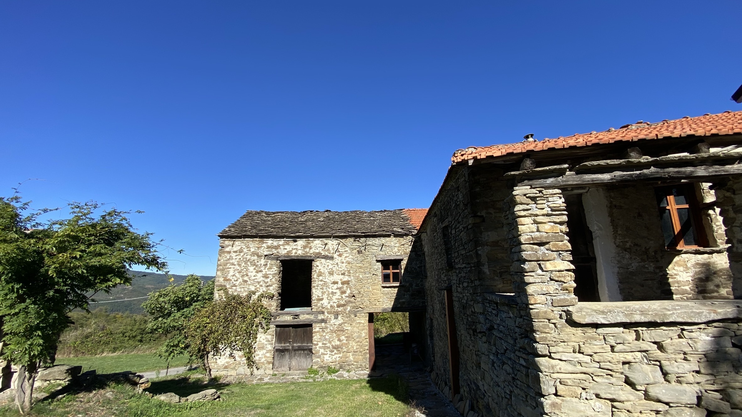 Foto annuncio 28