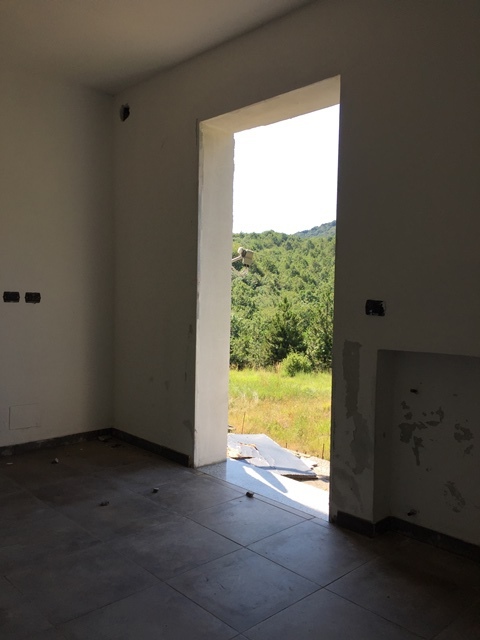 Foto annuncio 17