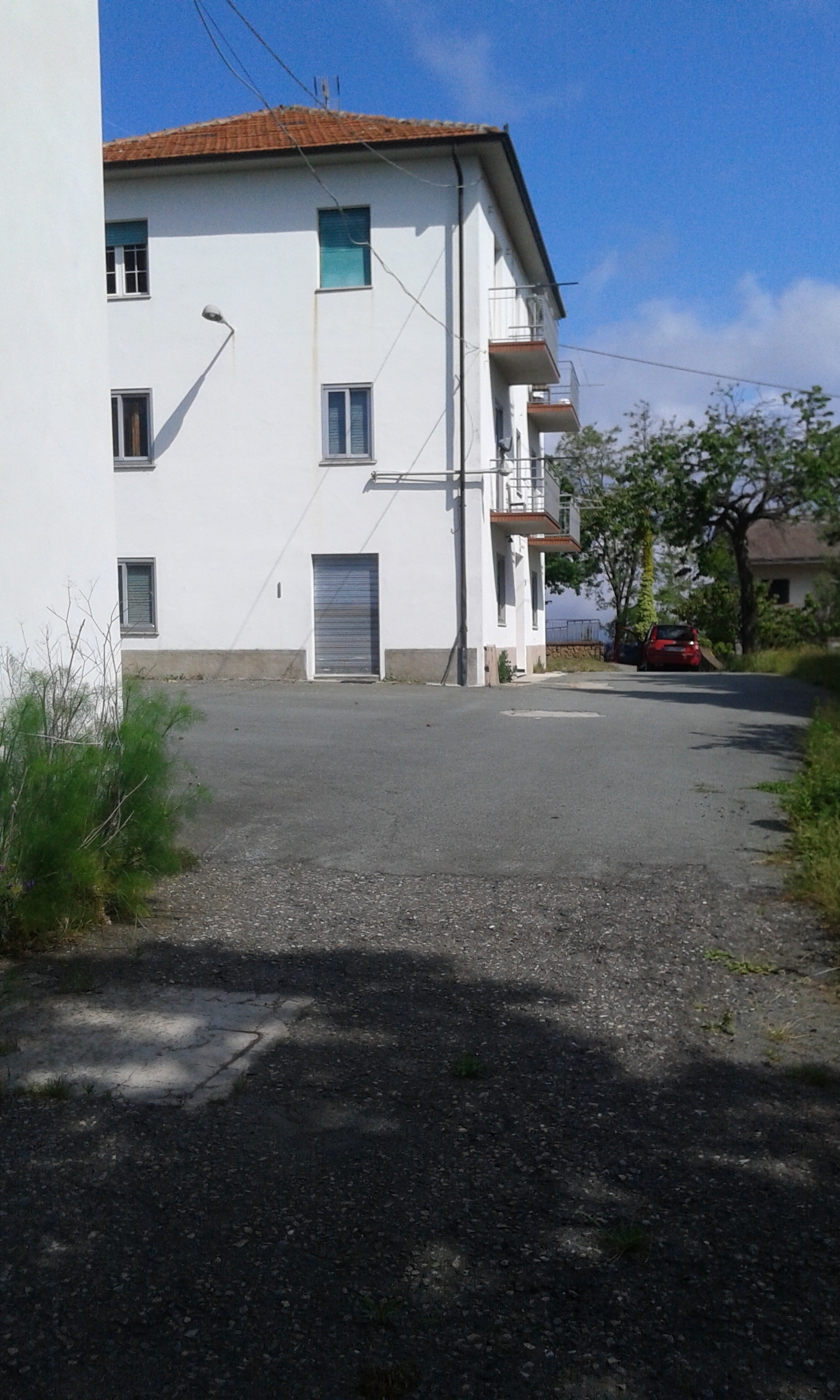 Foto annuncio 7