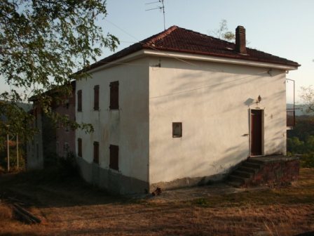 Foto annuncio 7