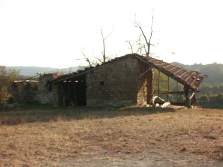 Foto annuncio 11
