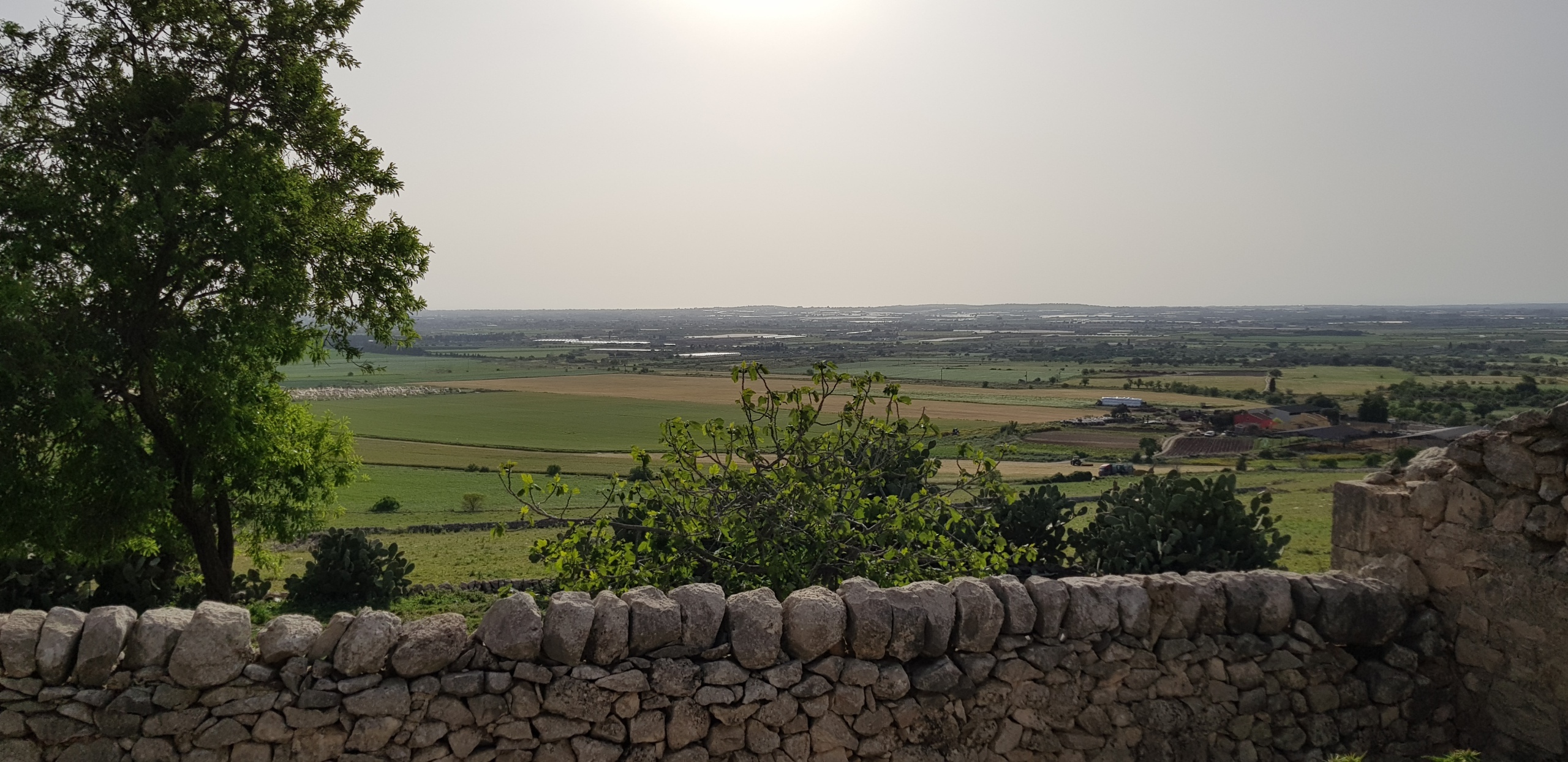 Foto annuncio 6