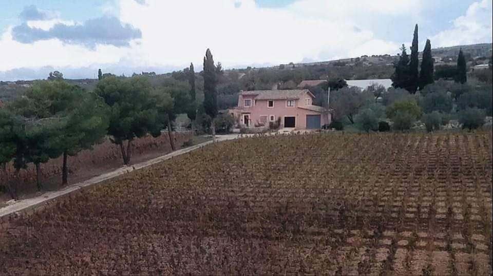 Foto annuncio 4