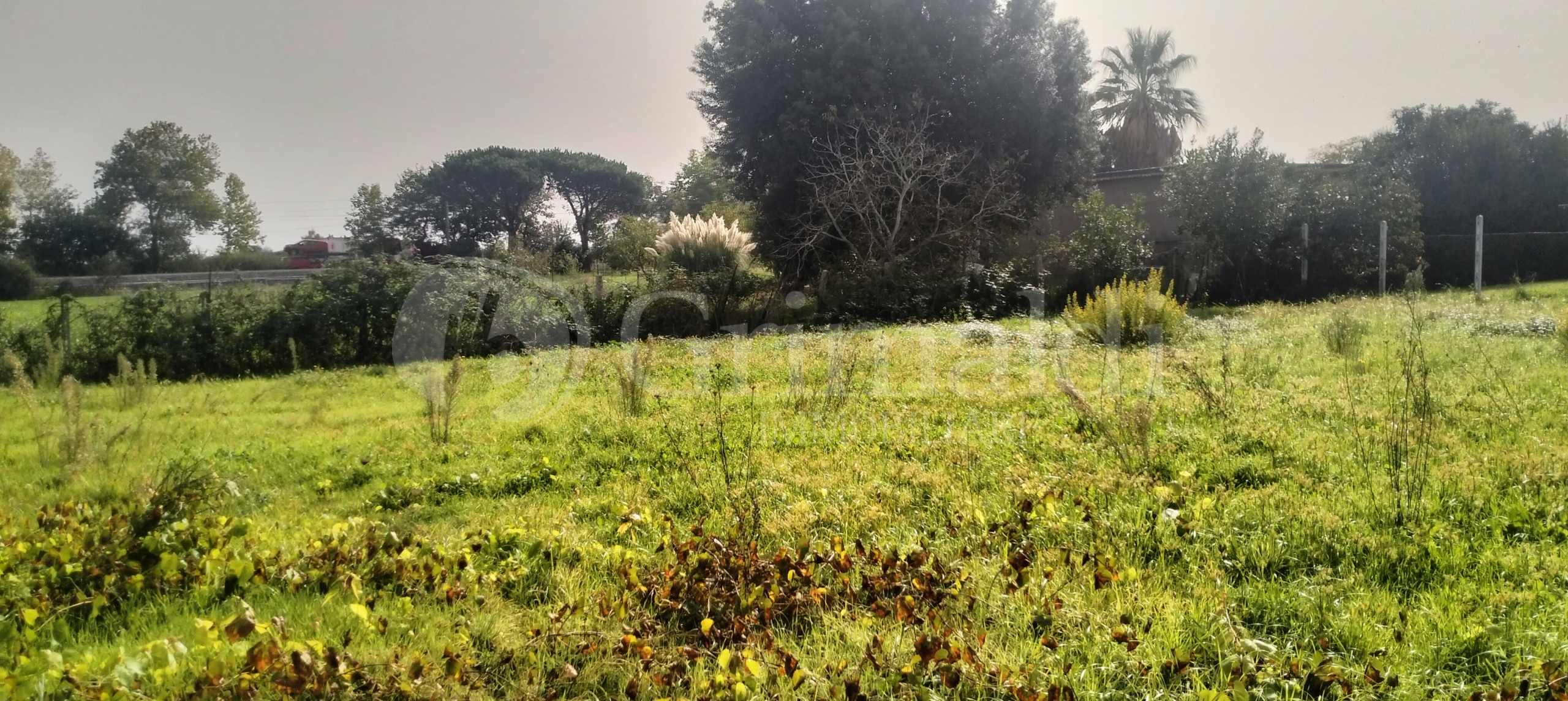 Immagine 11 di Terreno agricolo in vendita  in Via Lago di Sirino a Nettuno
