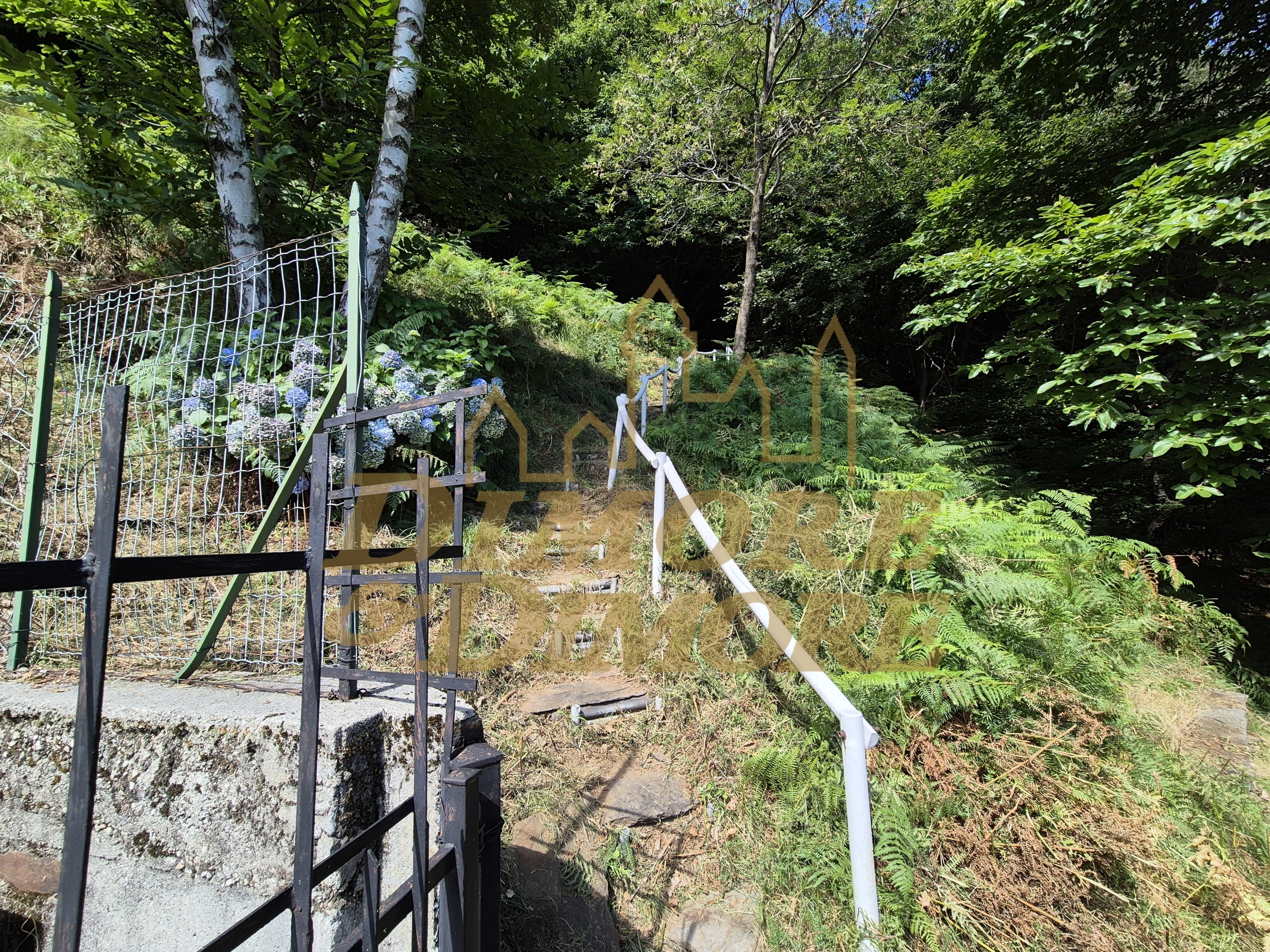 Immagine 7 di Casa indipendente in vendita  in via per Cambiesso a Intragna