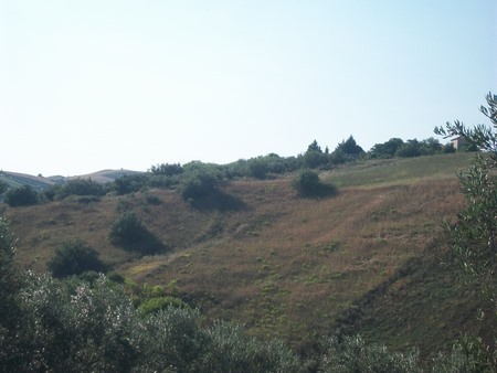 Foto annuncio 16