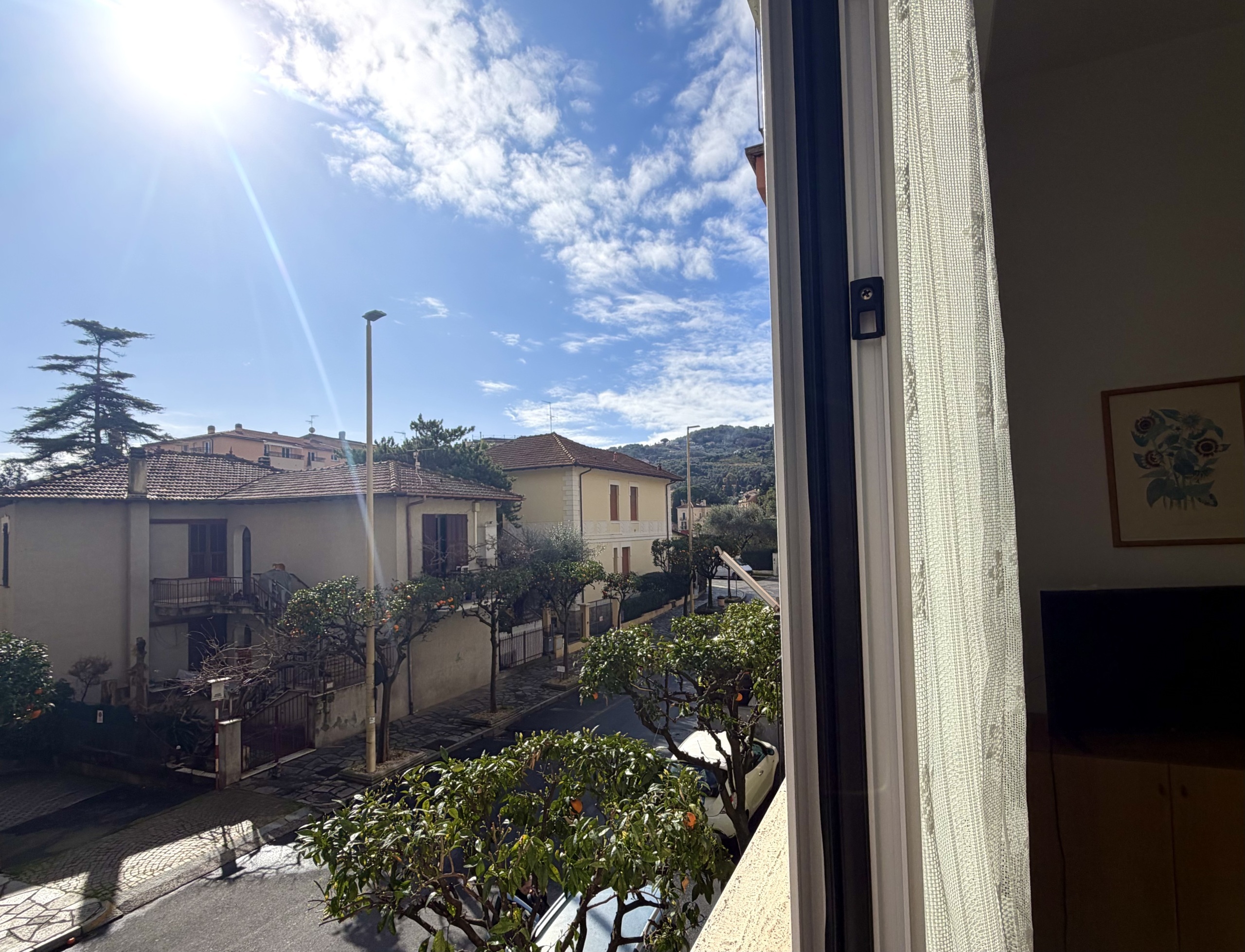 Foto annuncio 7