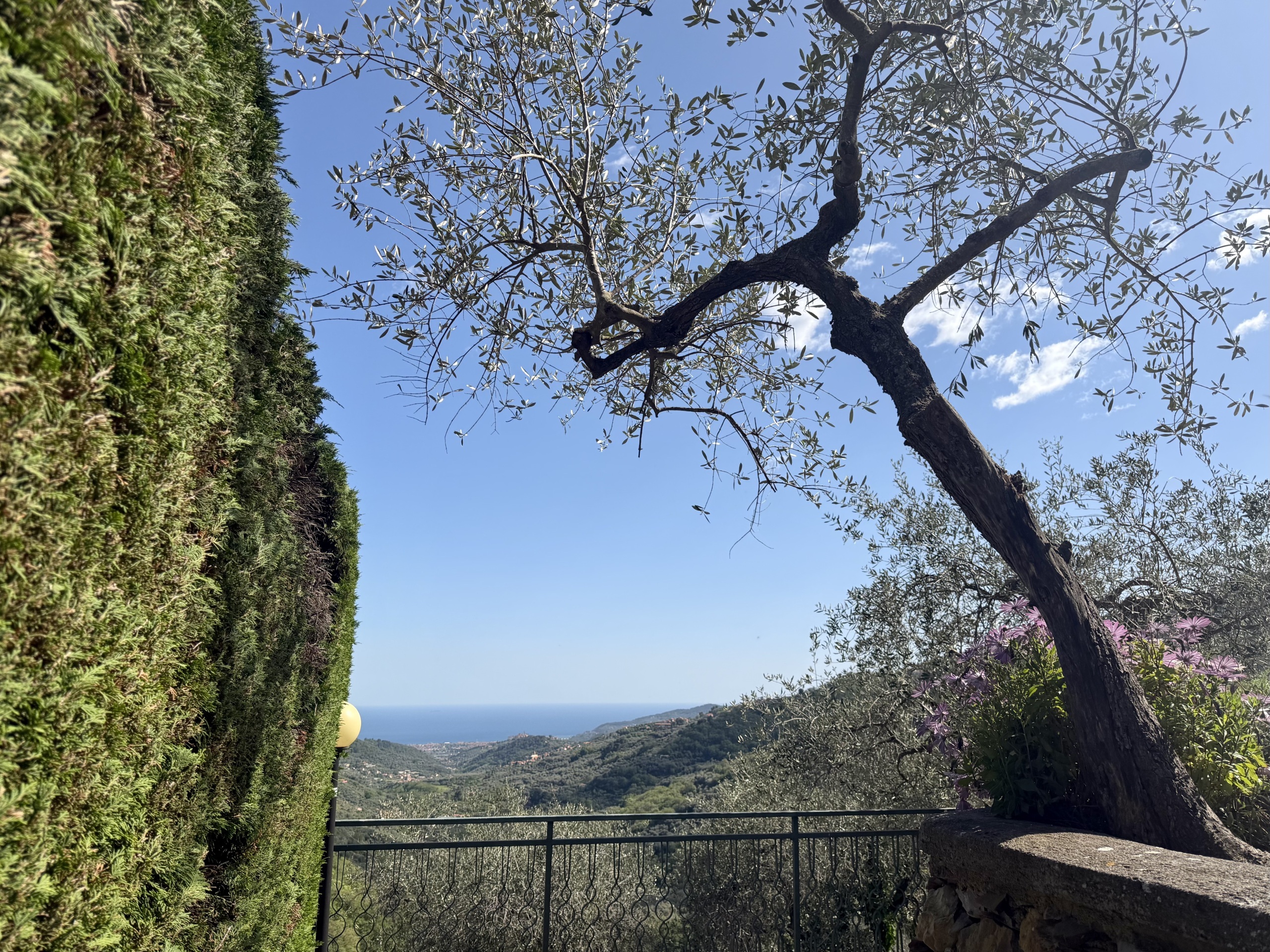 Foto annuncio 2