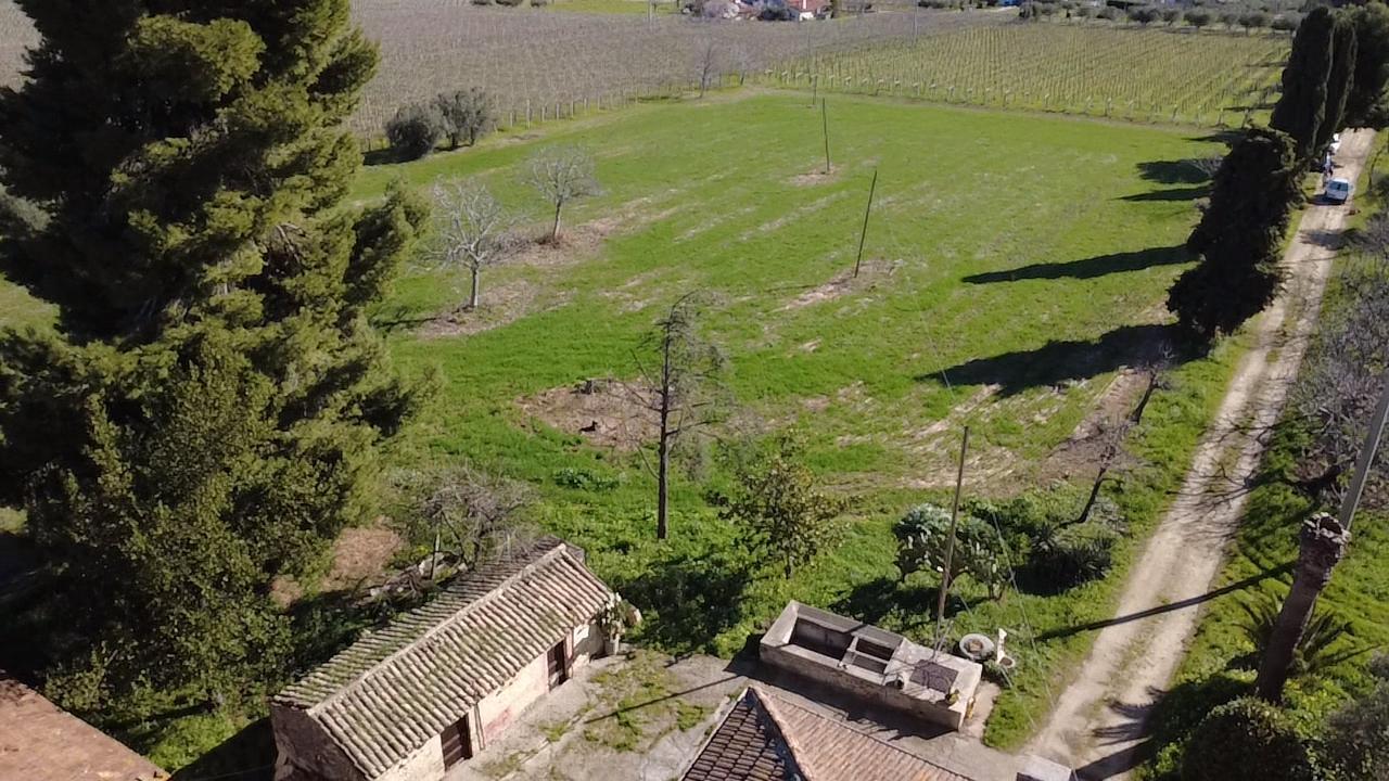 Foto annuncio 64