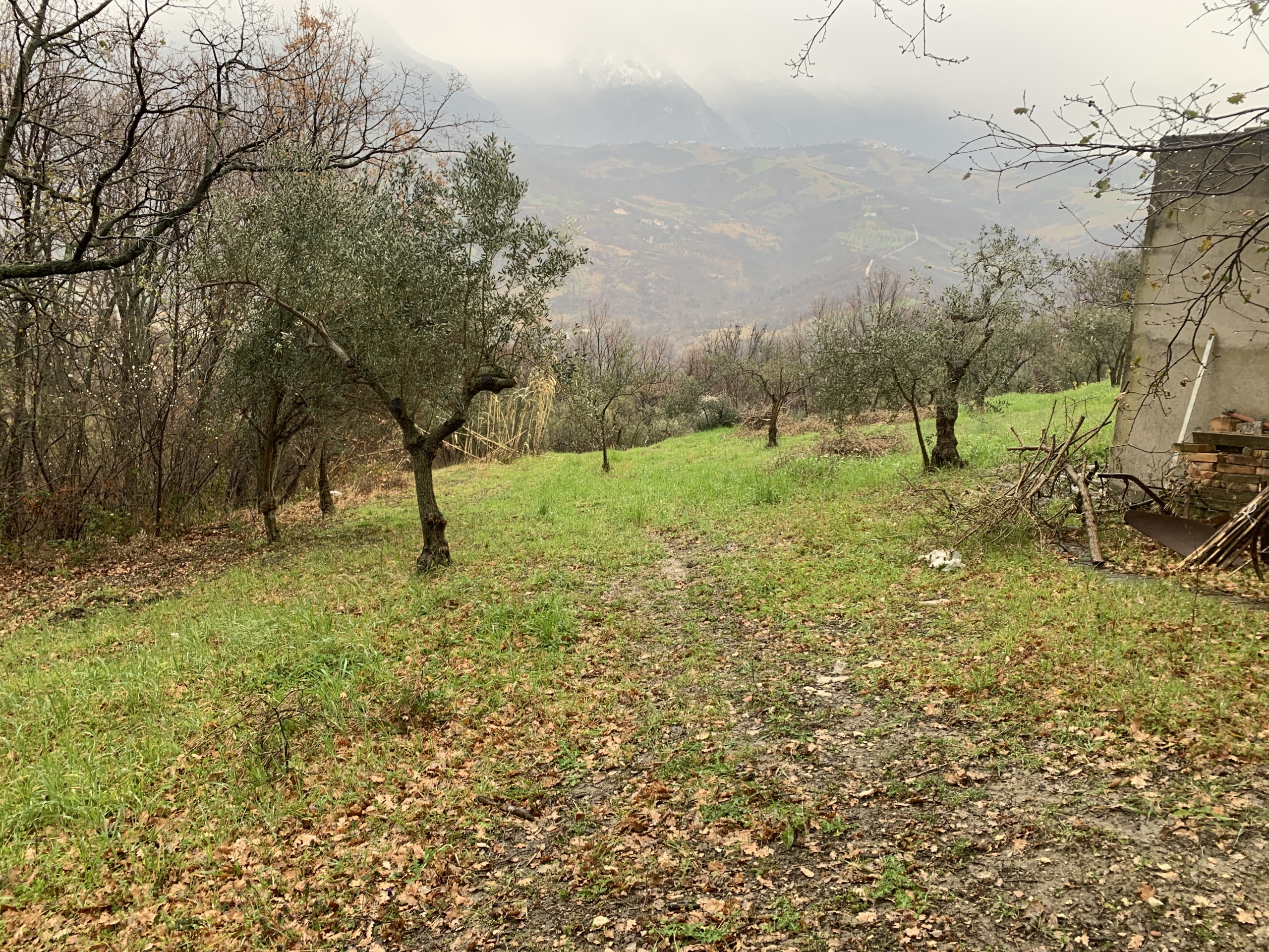Immagine 6 di Casa semindipendente in vendita  a Gessopalena