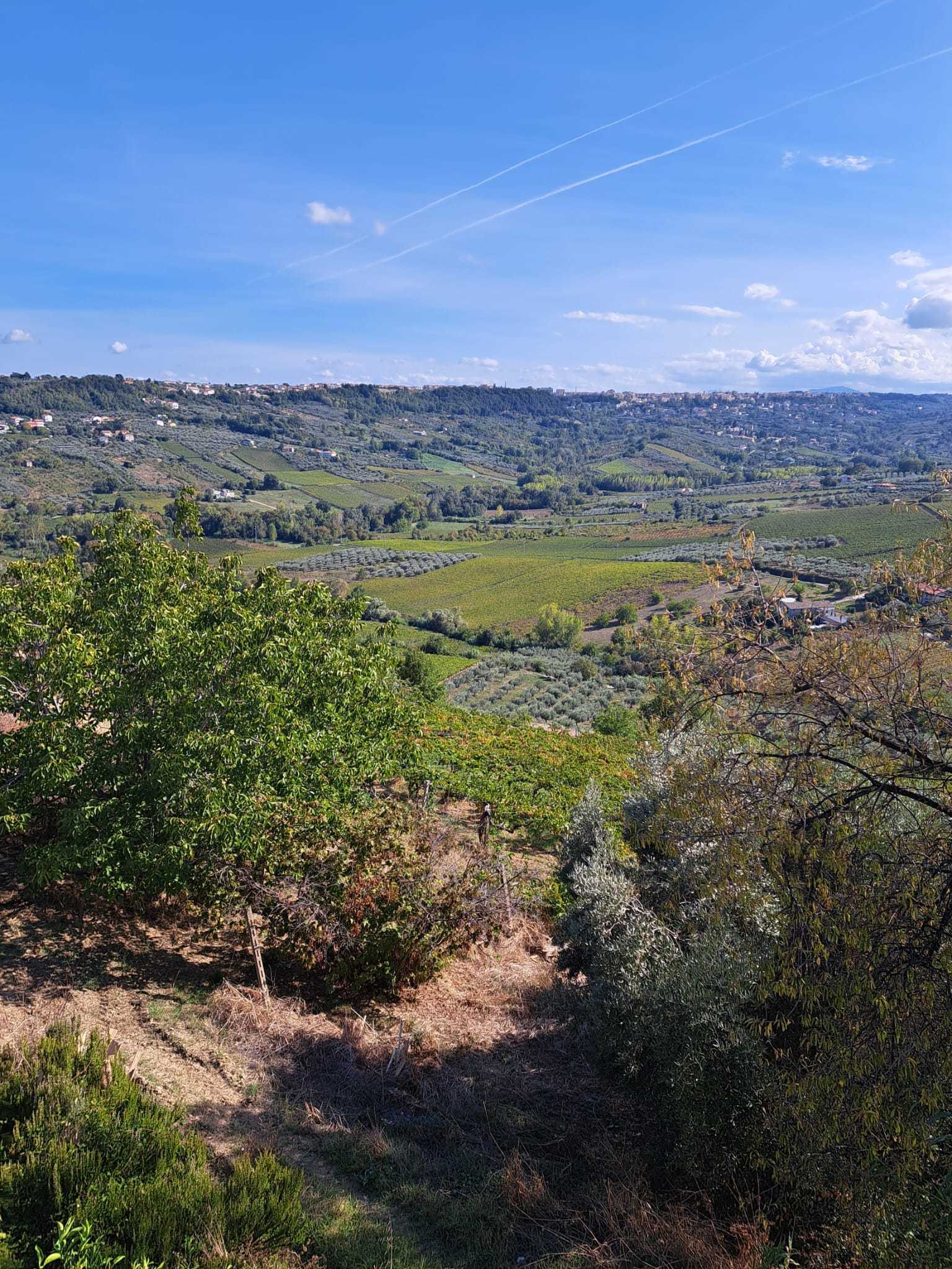 Foto annuncio 65