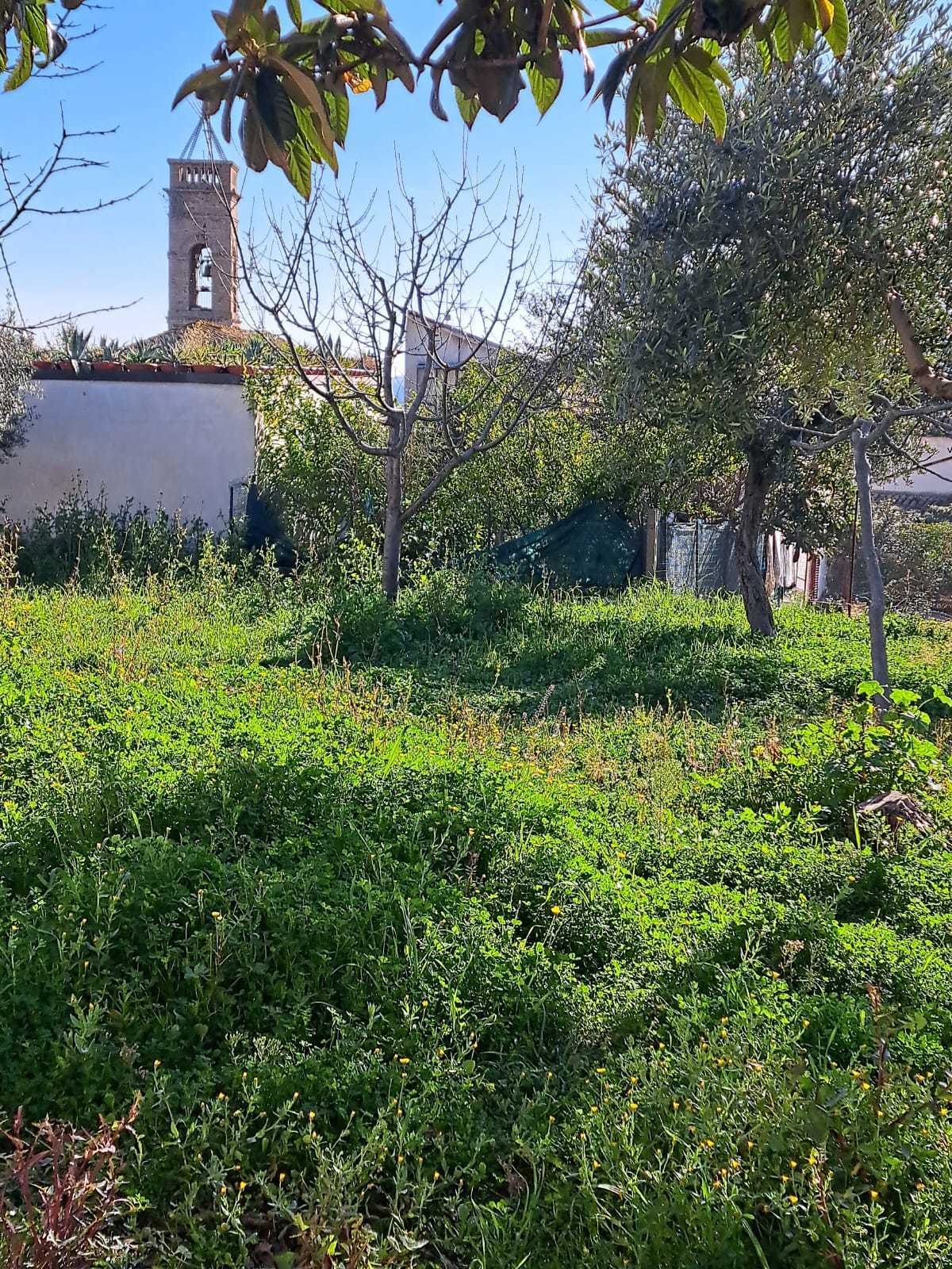 Foto annuncio 5
