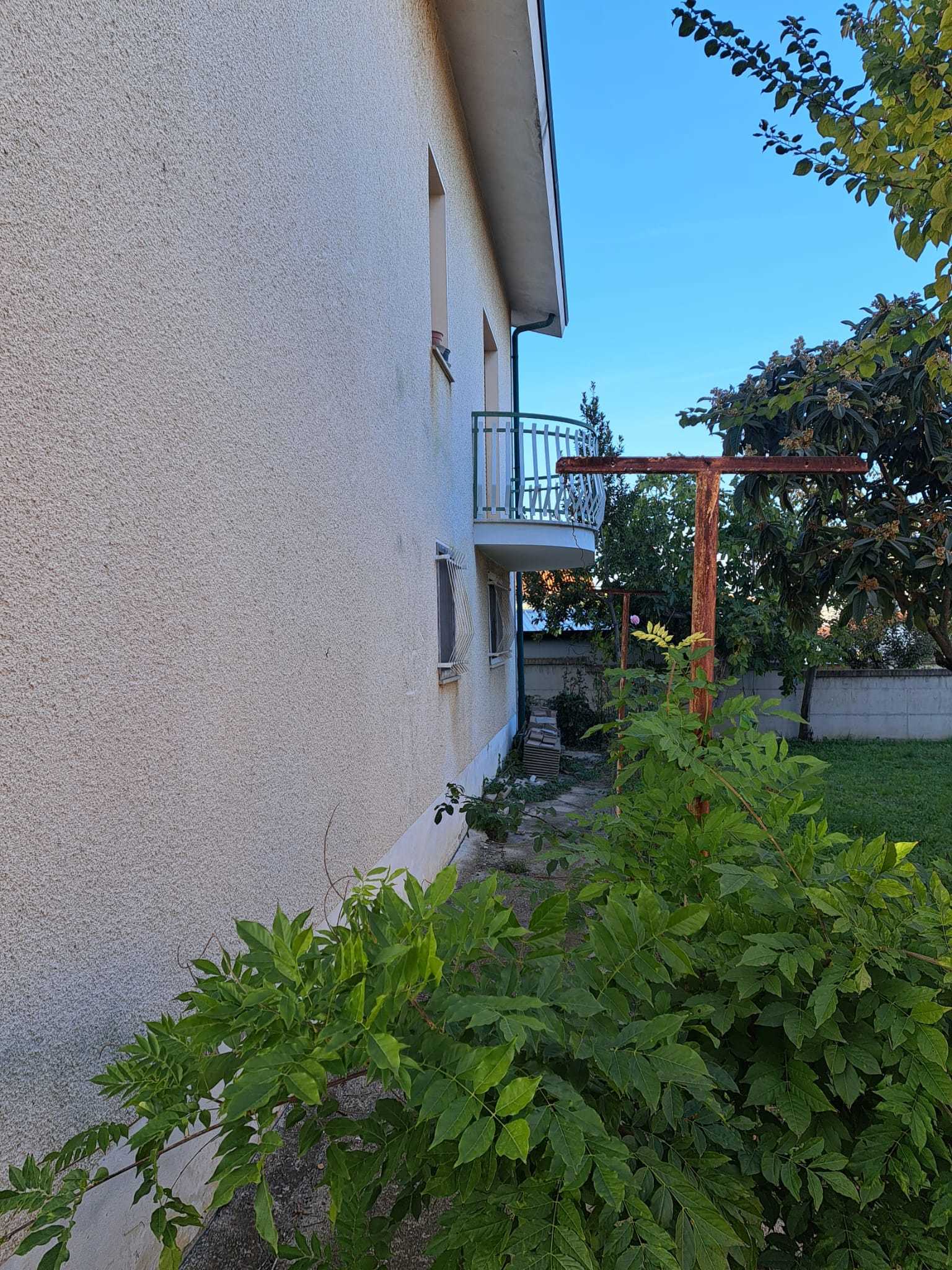 Foto annuncio 36