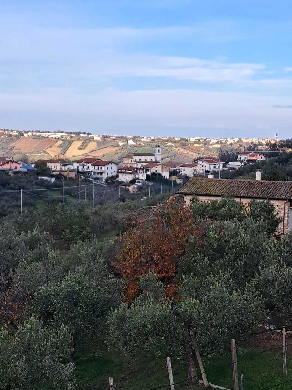 Foto annuncio 28