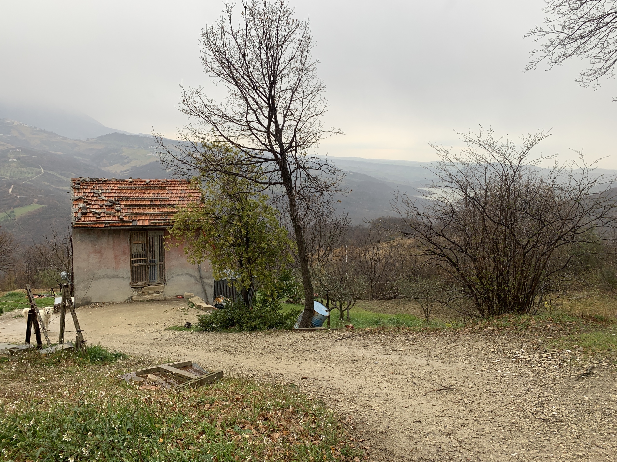 Immagine 7 di Casa semindipendente in vendita  a Gessopalena
