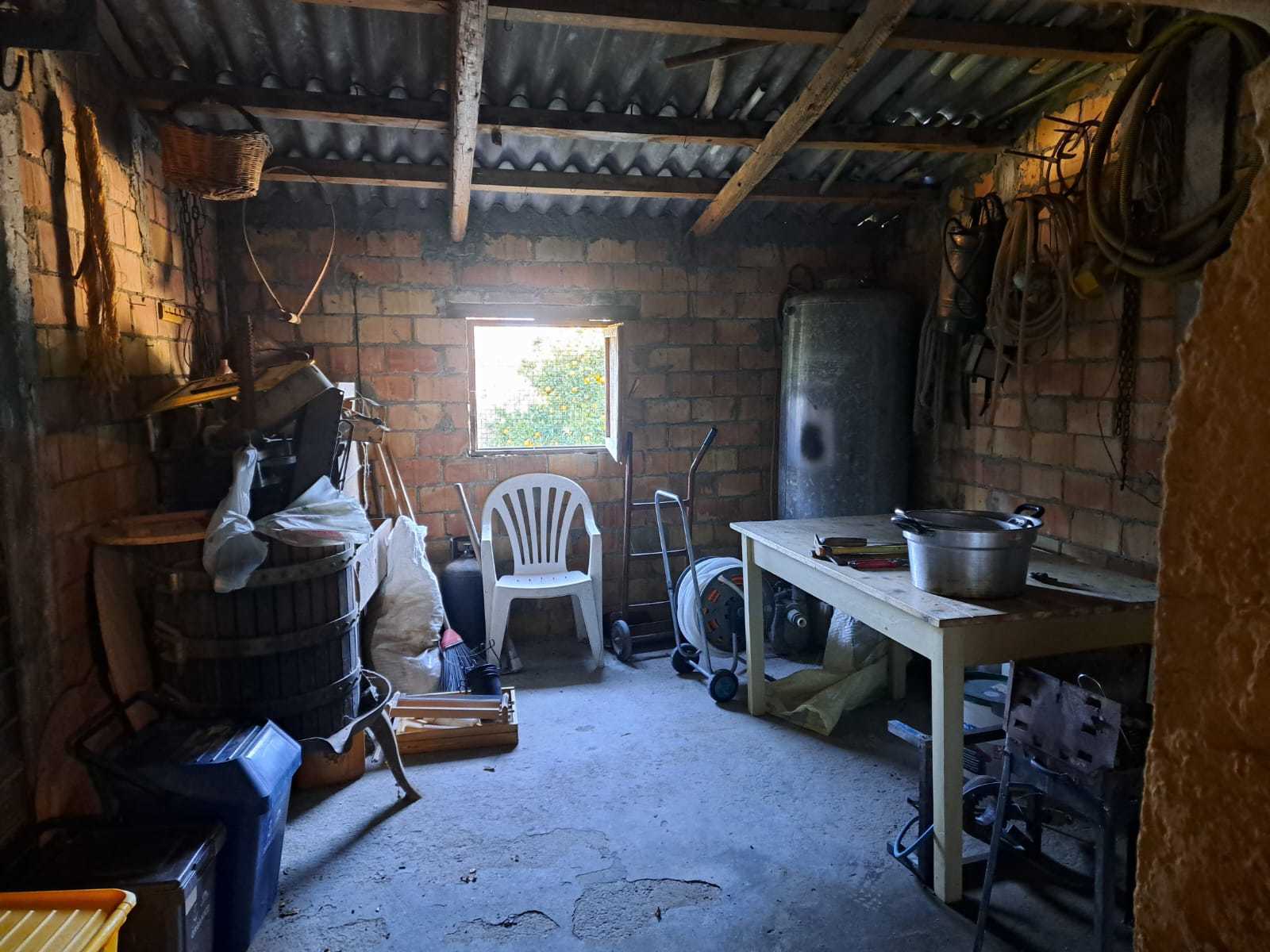Foto annuncio 28