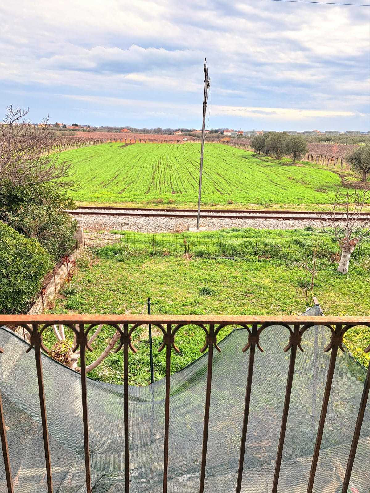 Foto annuncio 51