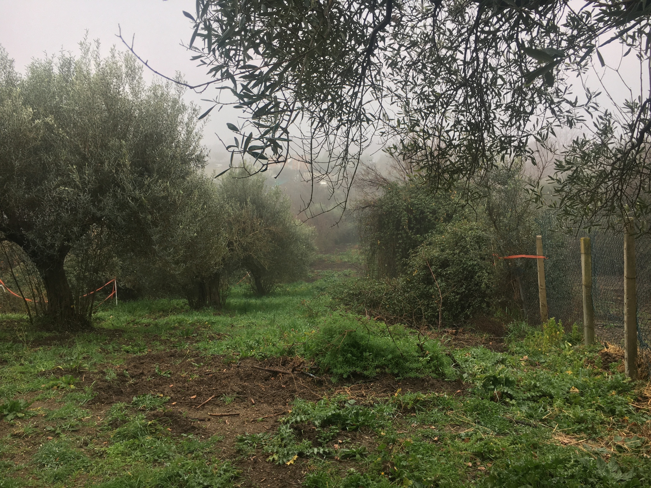 Foto annuncio 7