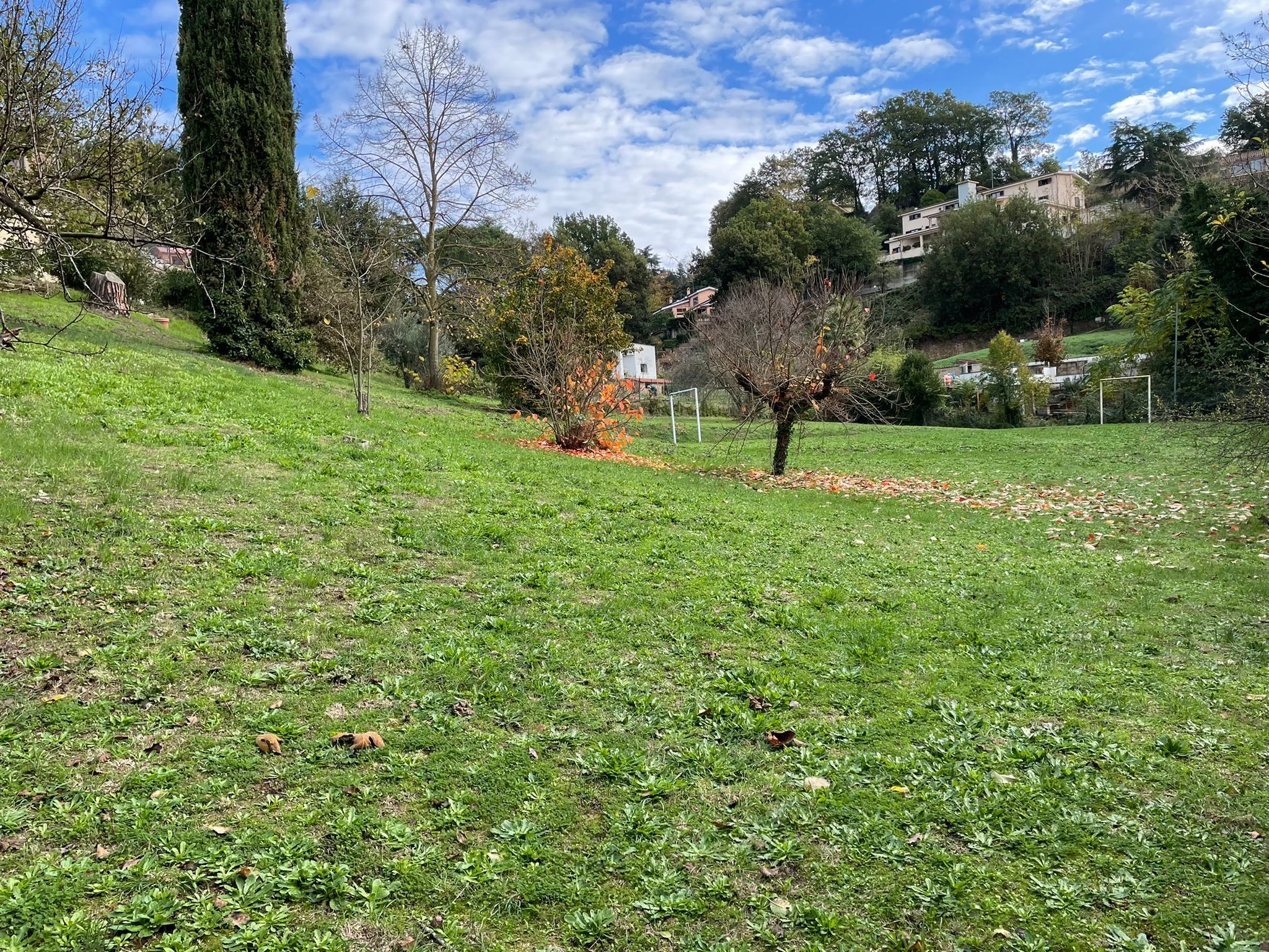 Foto annuncio 10