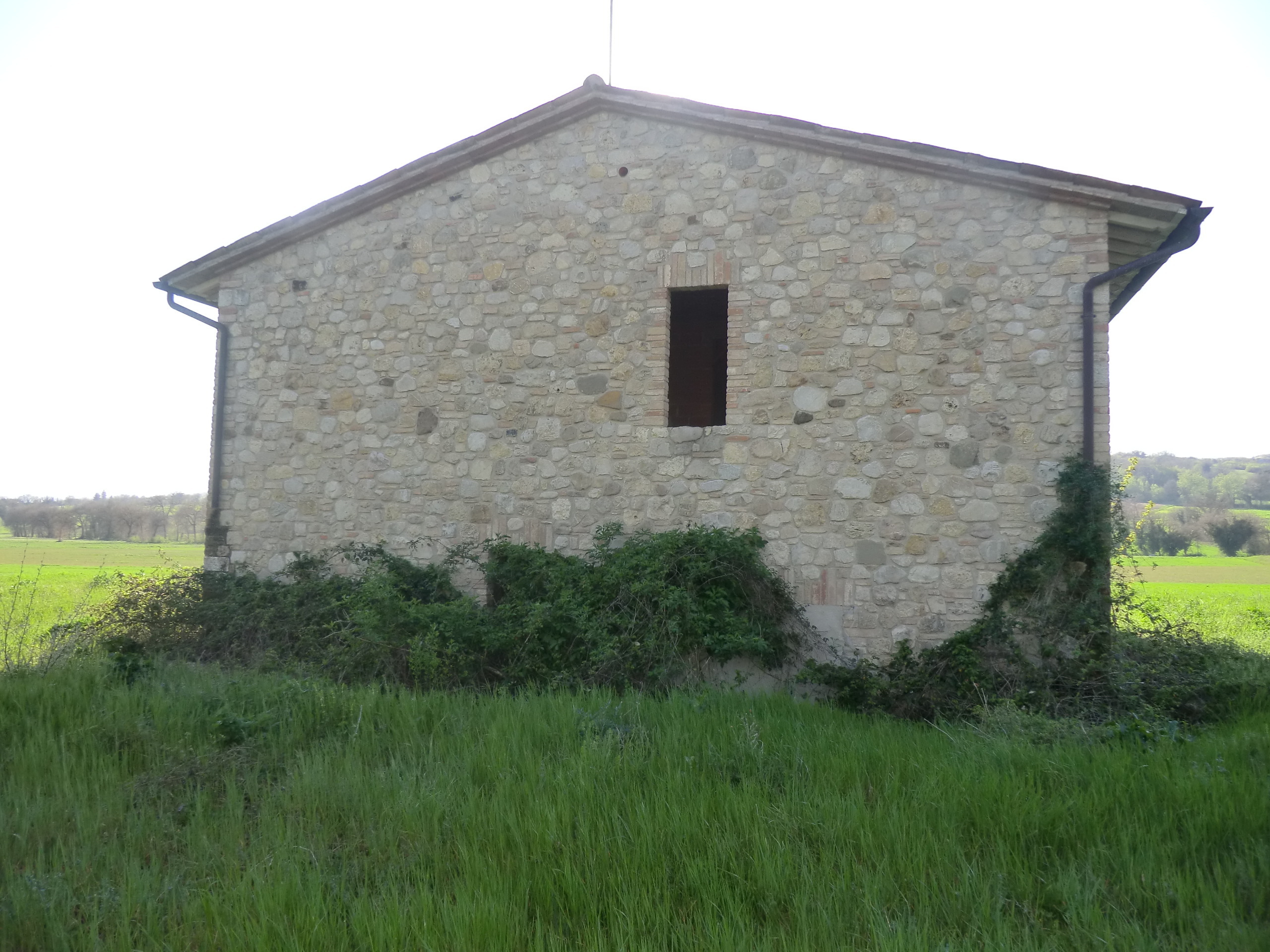 Foto annuncio 7