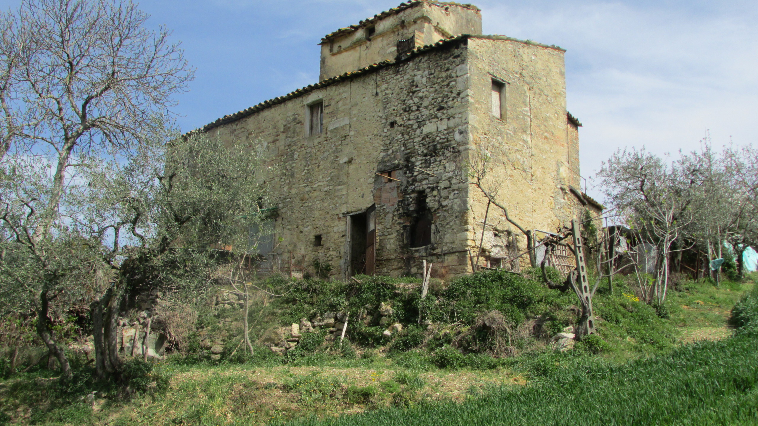Foto annuncio 6
