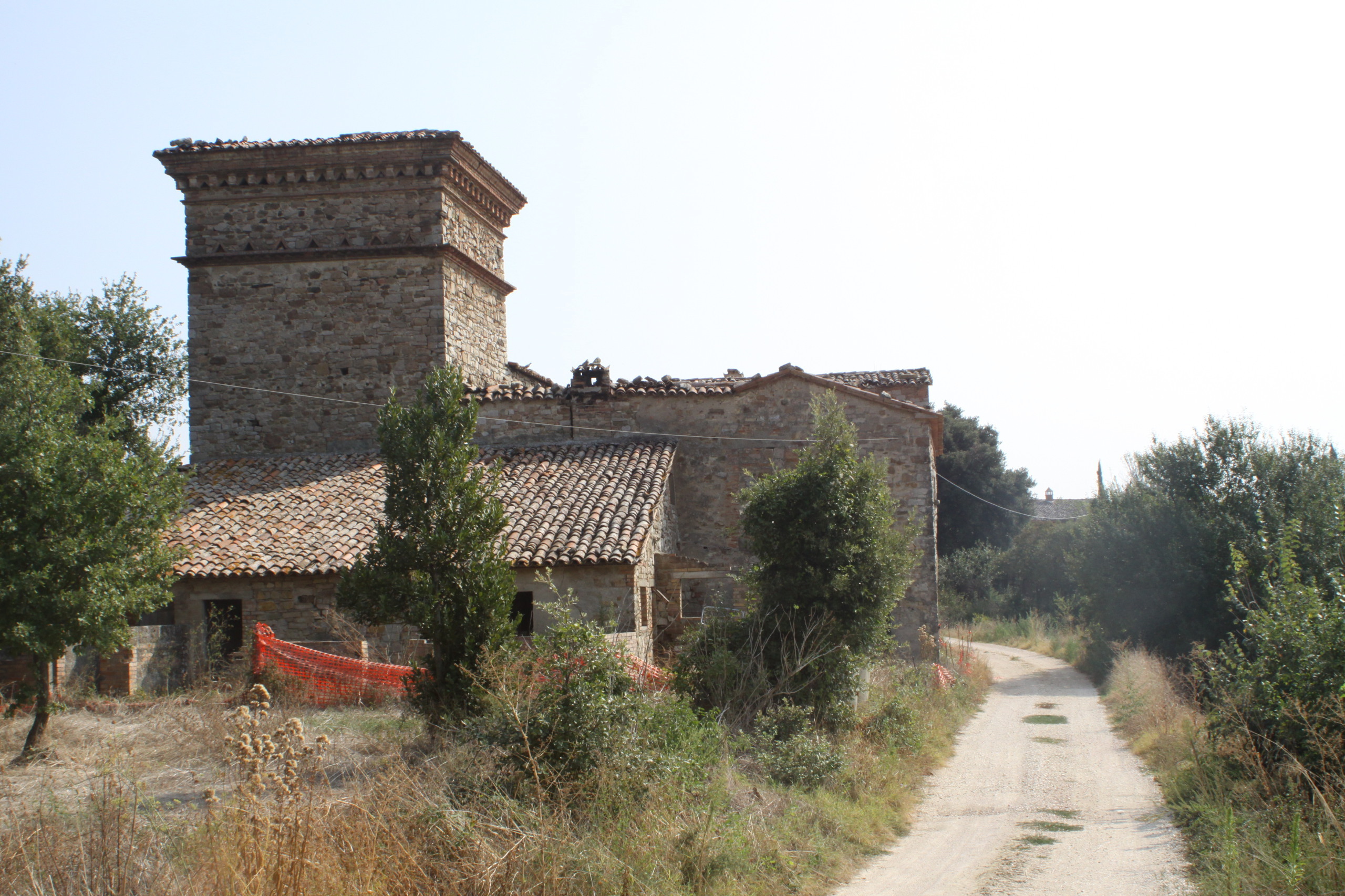 Foto annuncio 5