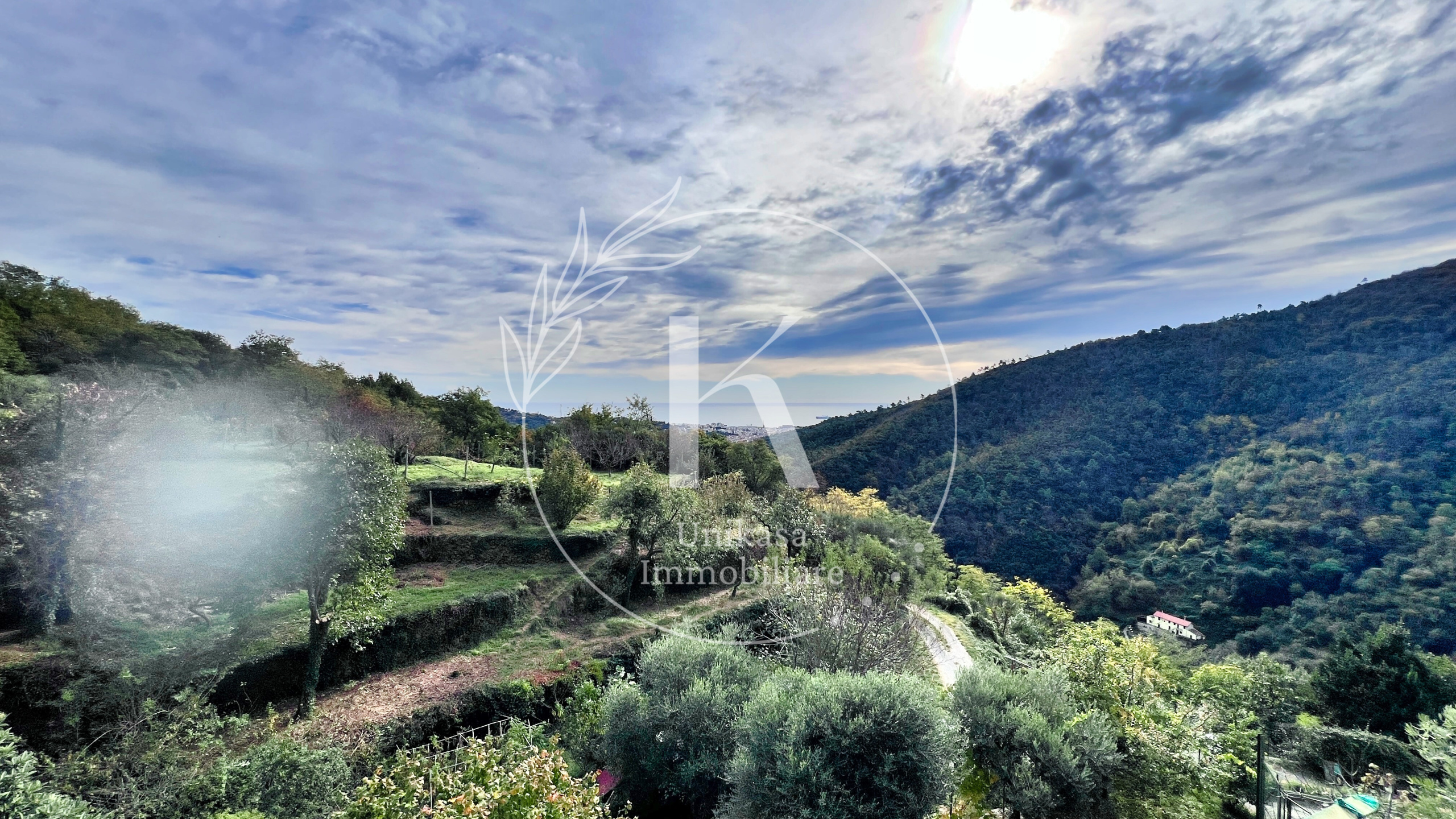 Foto annuncio 10