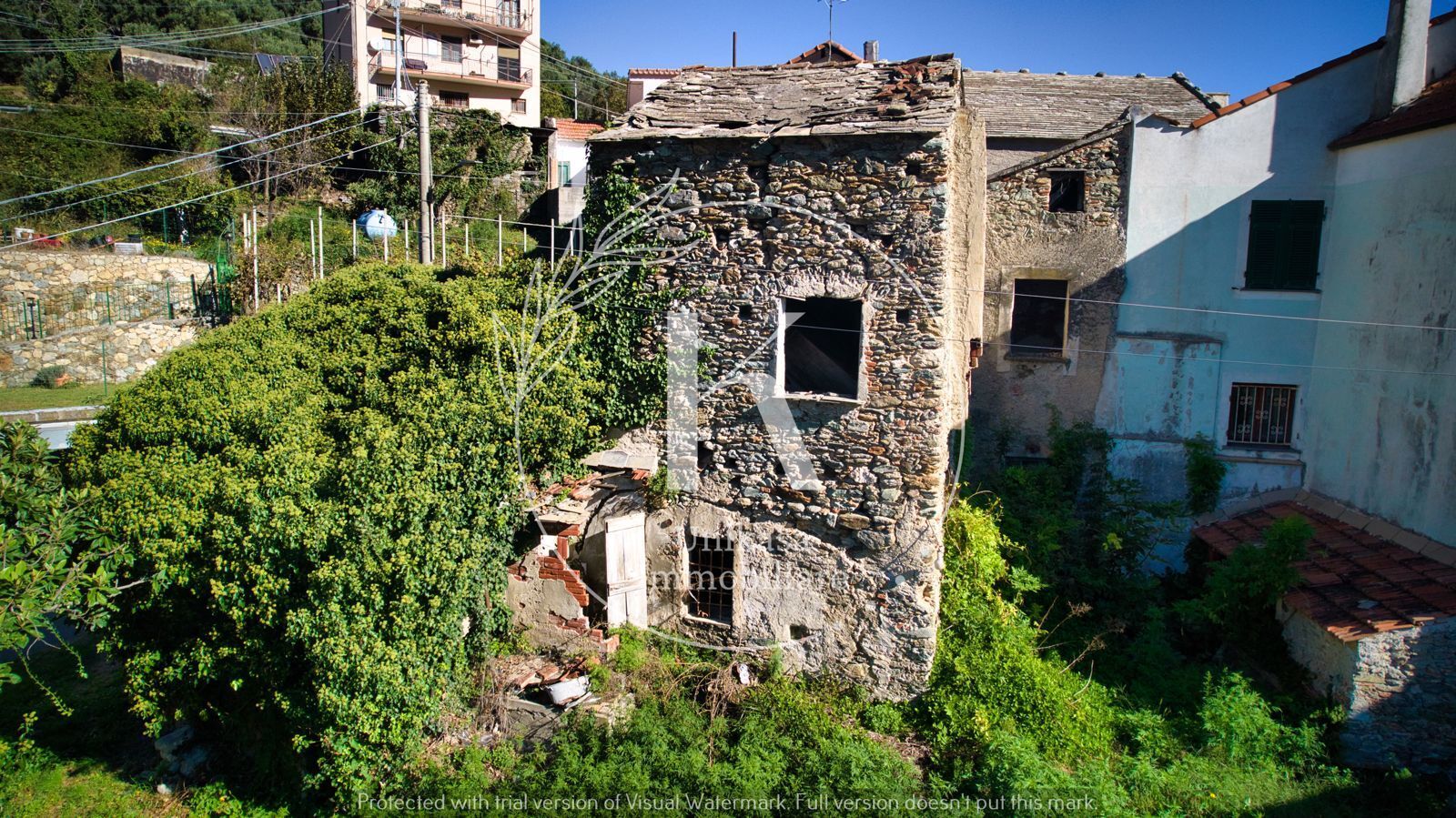 Foto annuncio 12