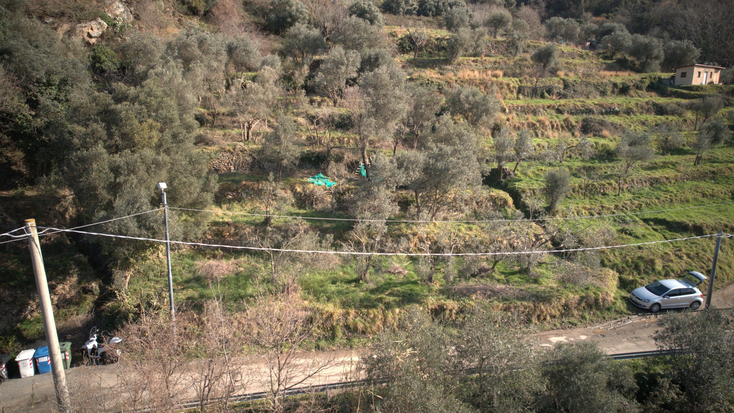 Foto annuncio 6