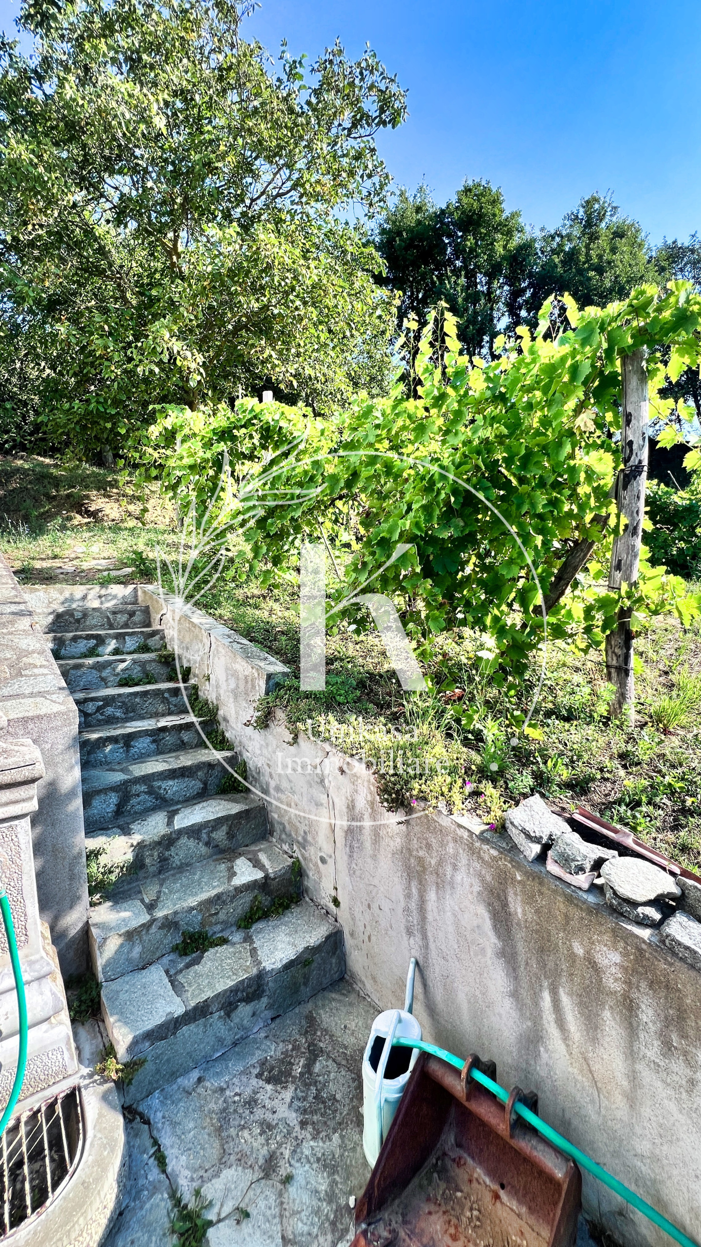 Foto annuncio 23