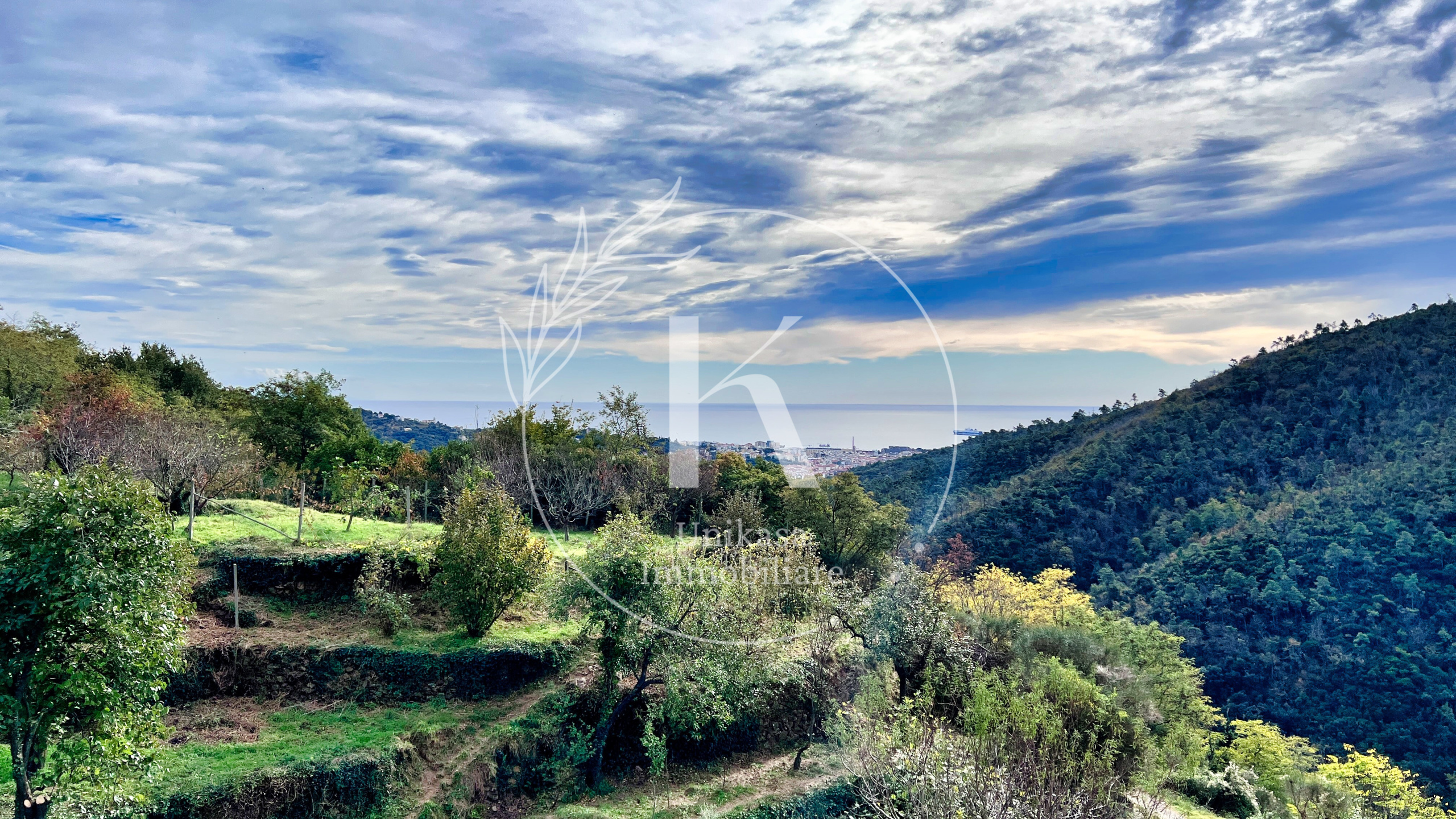 Foto annuncio 9