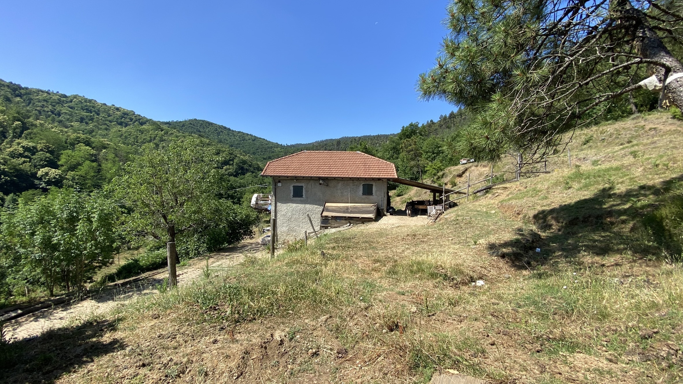 Foto annuncio 2
