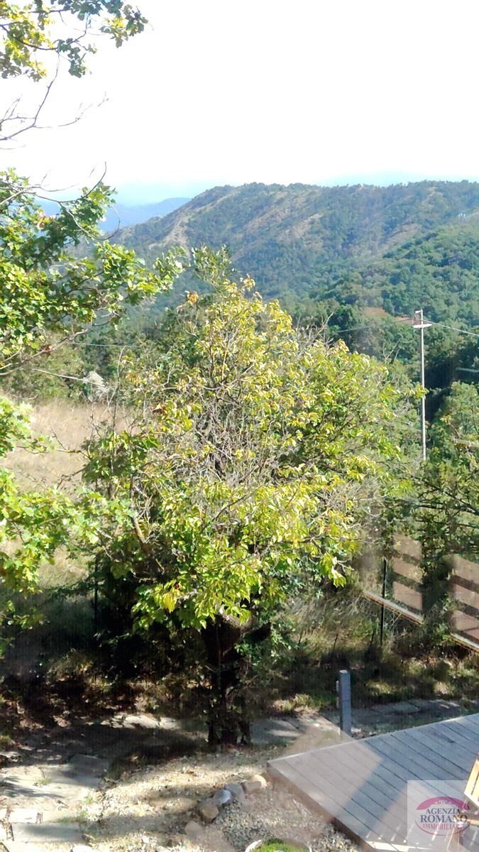 Foto annuncio 45