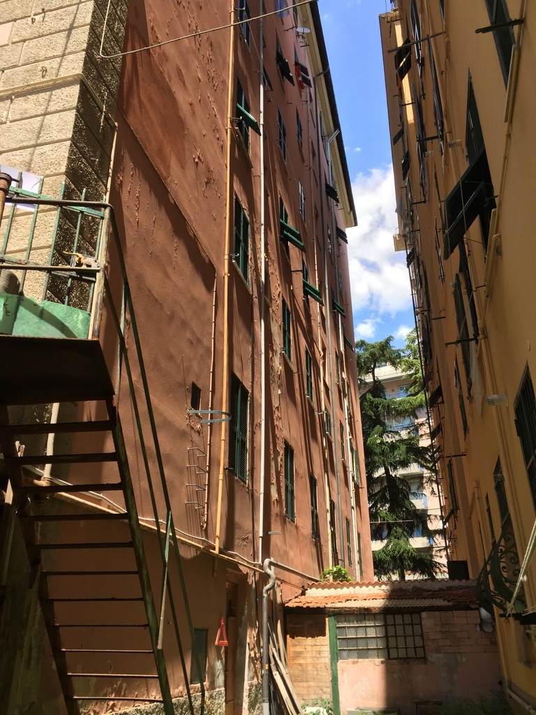 Foto annuncio 5