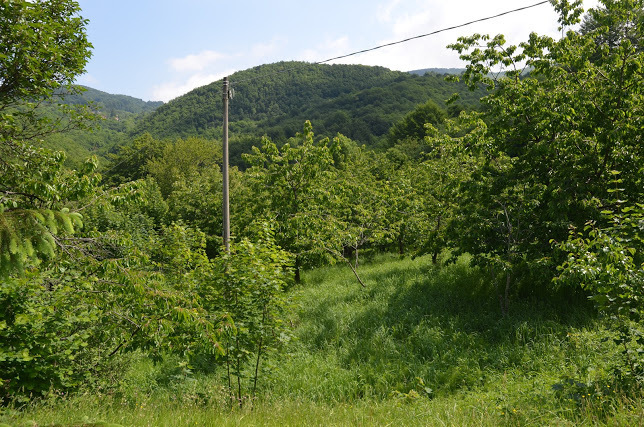 Foto annuncio 41