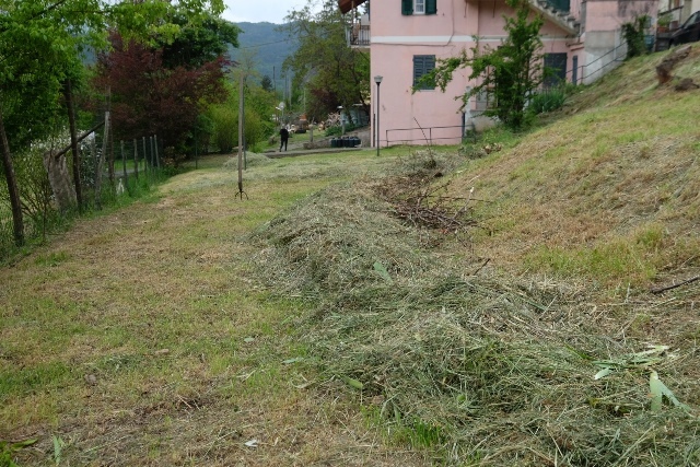Foto annuncio 11